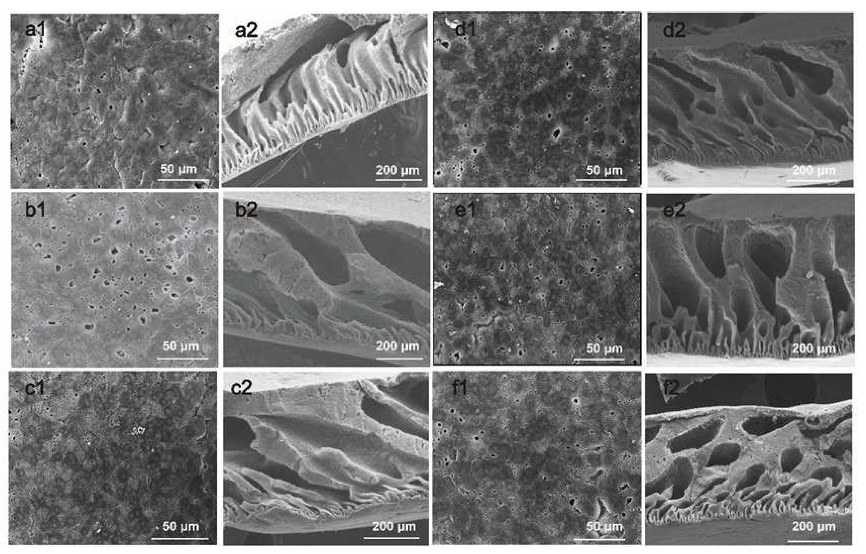 Preprints 95435 g003