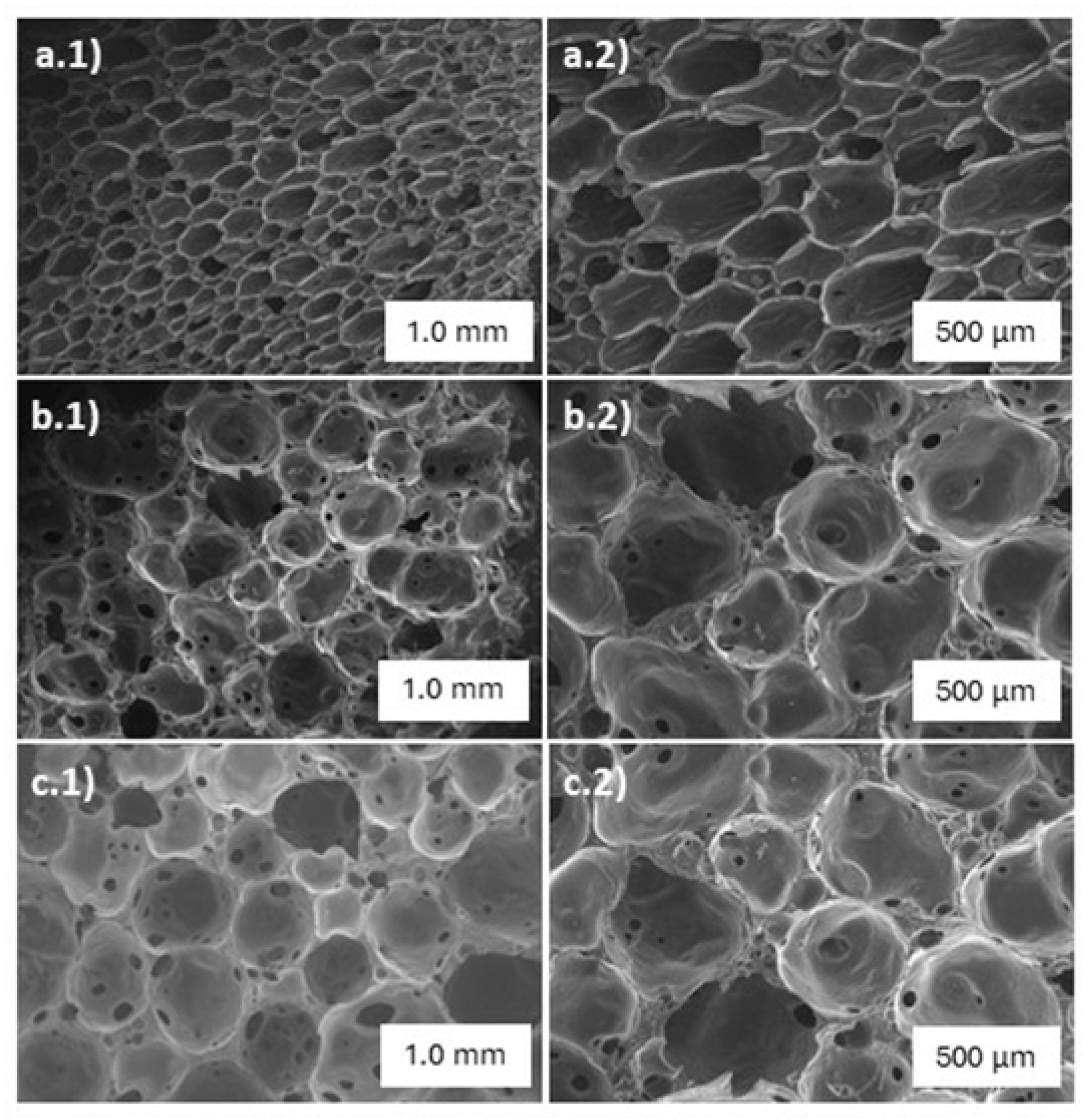 Preprints 84265 g002