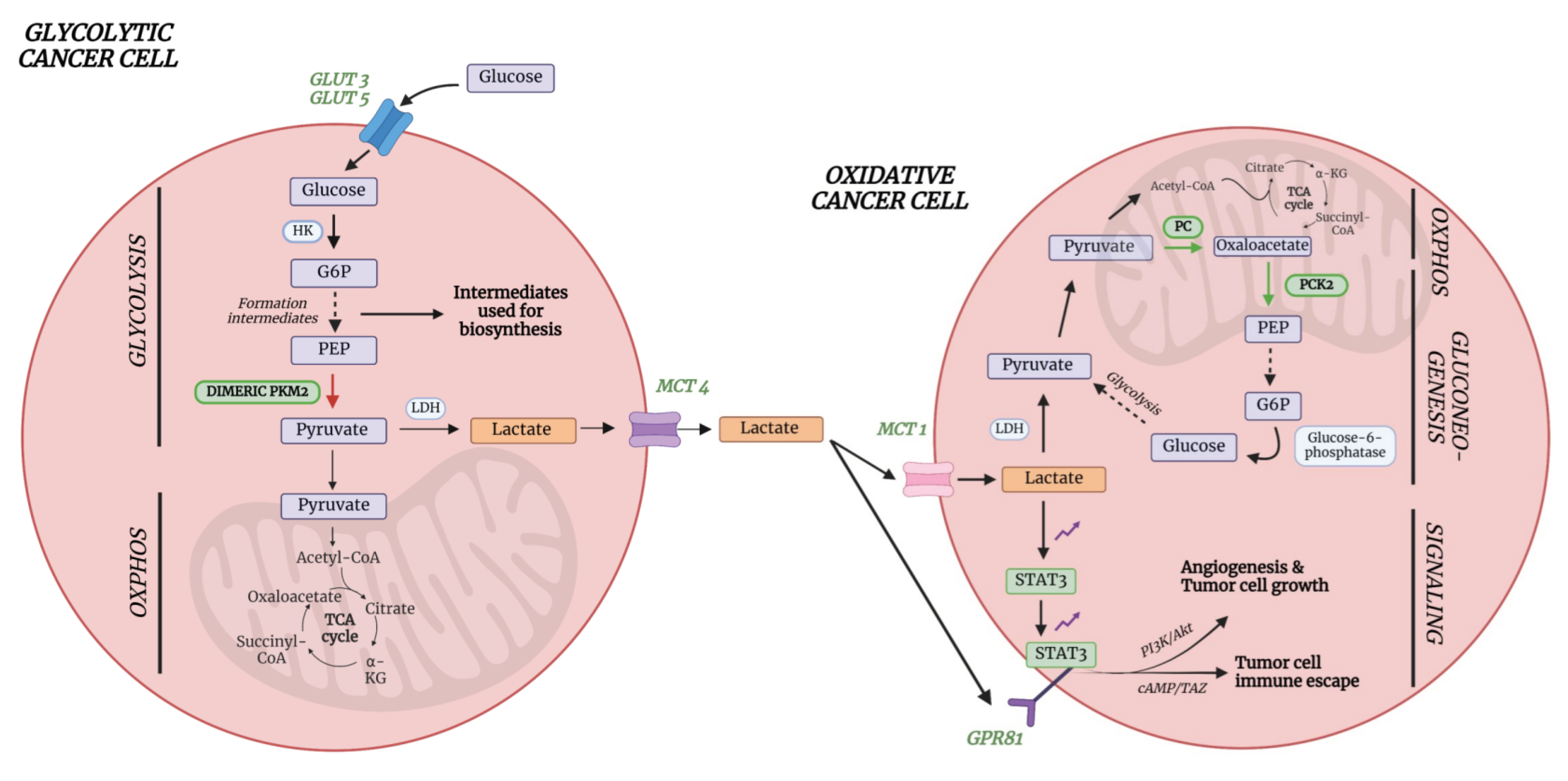 Preprints 102029 g008