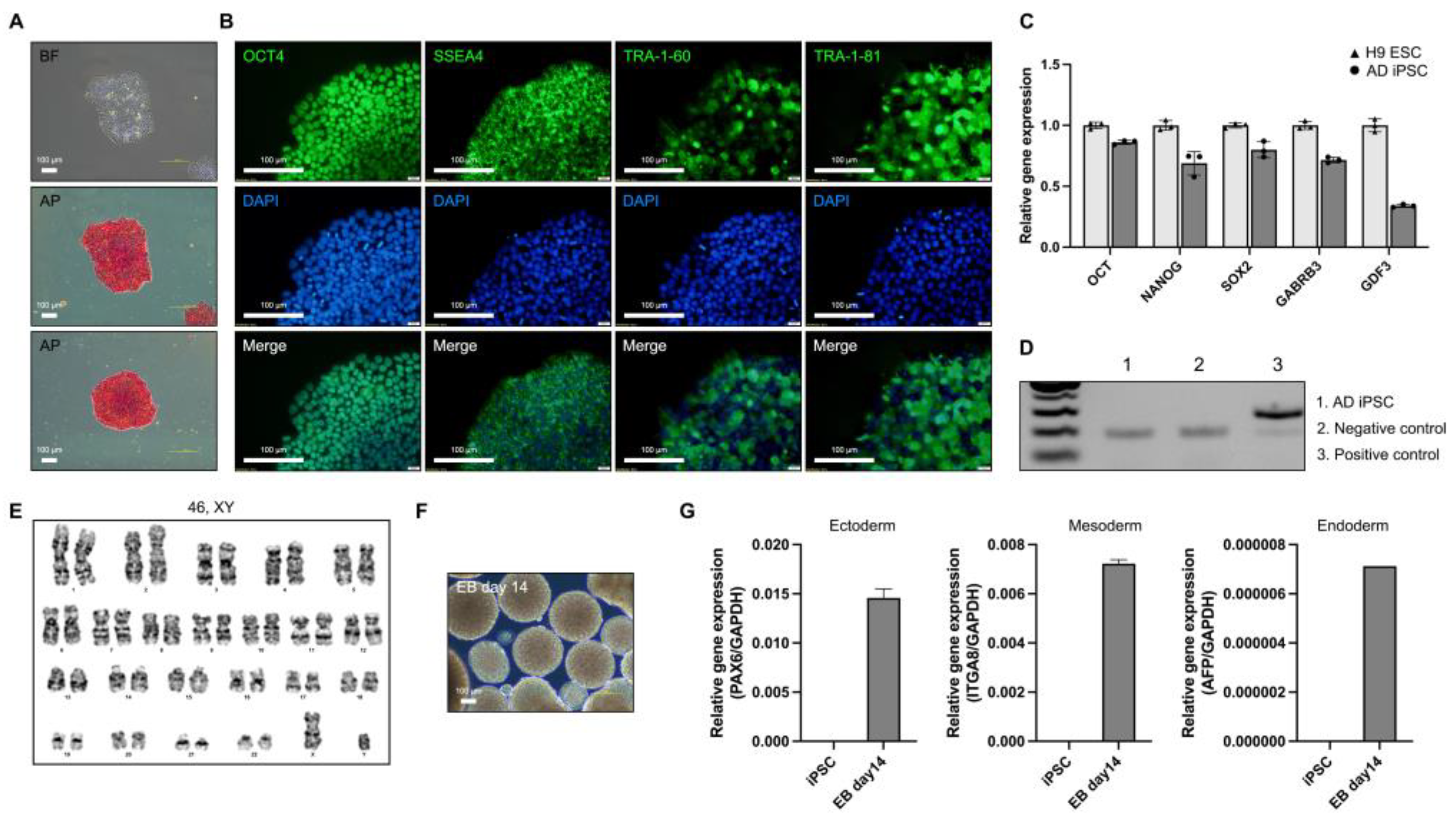 Preprints 105643 g001