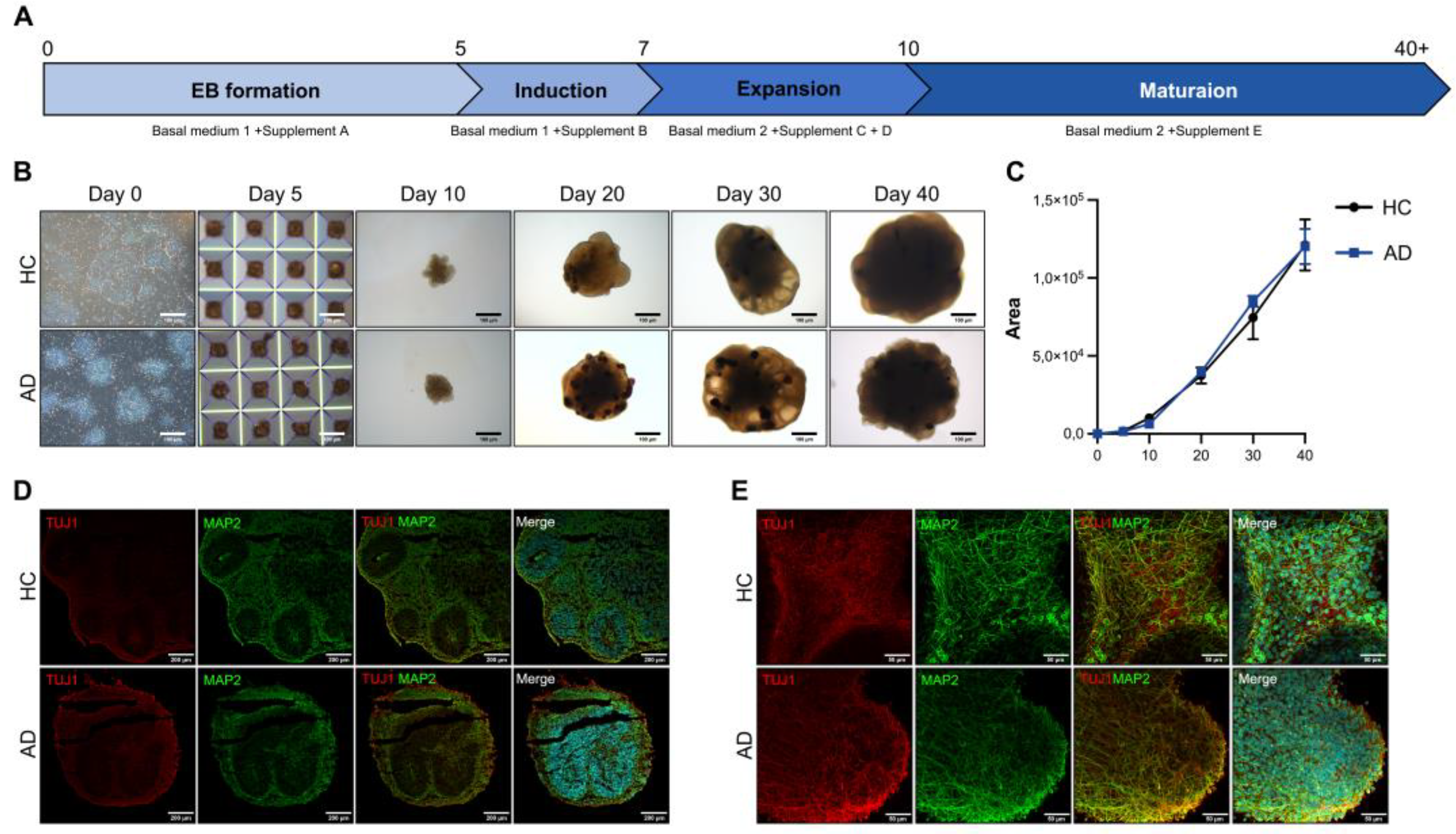 Preprints 105643 g002