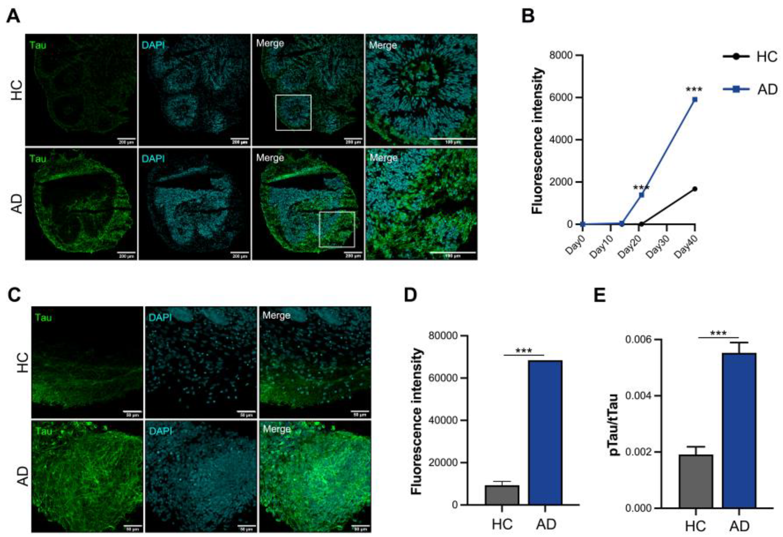 Preprints 105643 g003