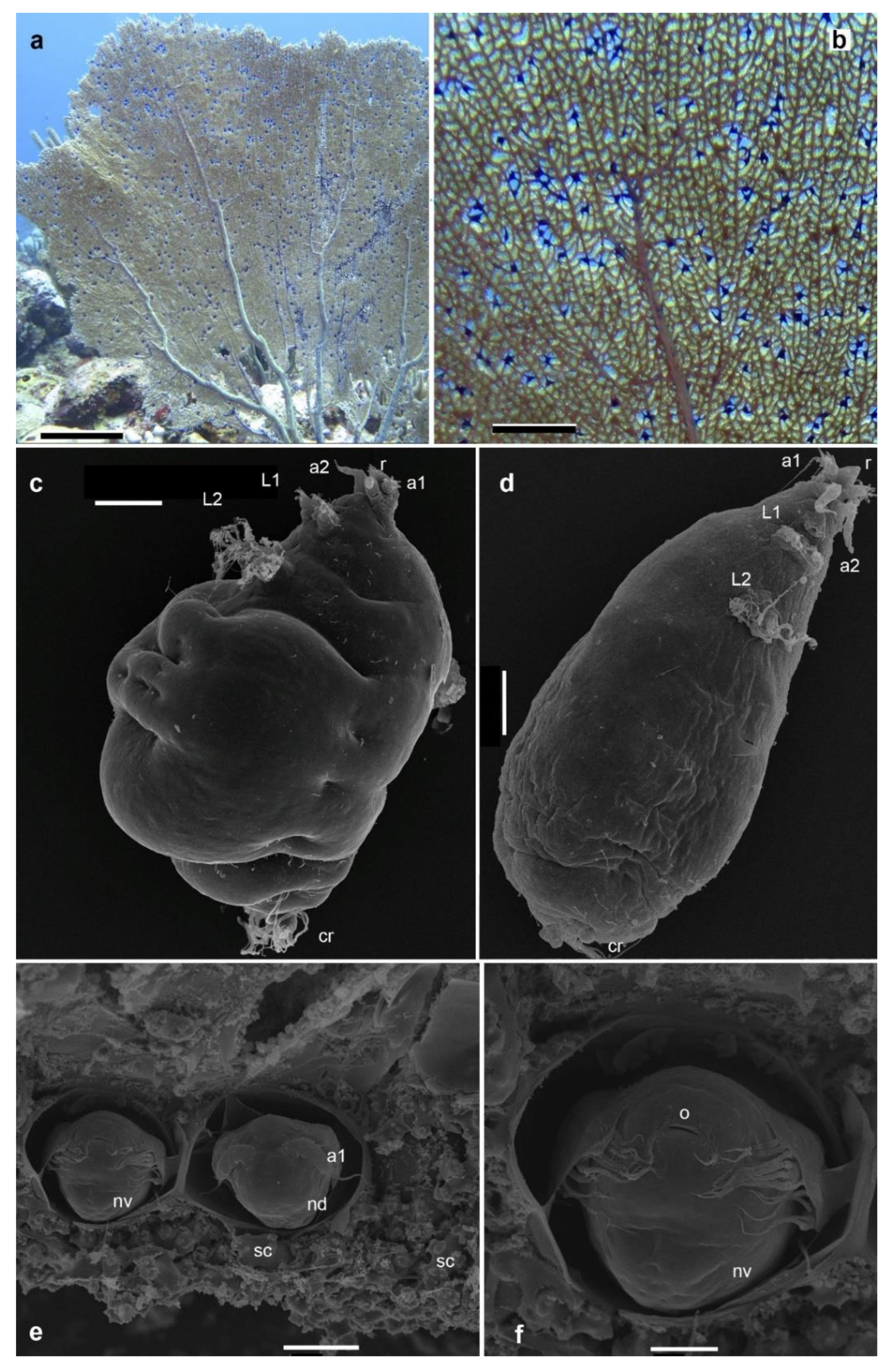 Preprints 92142 g002