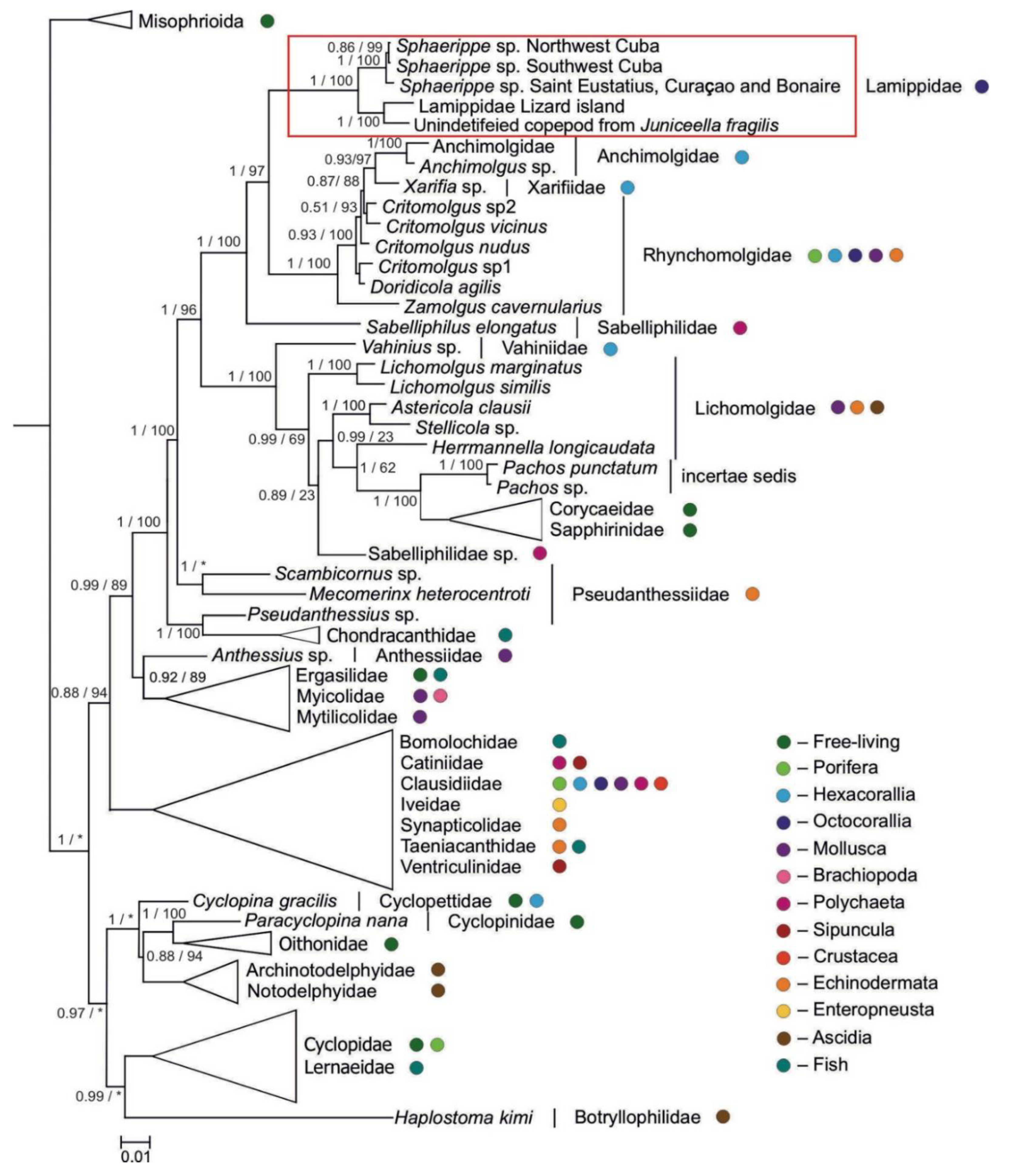 Preprints 92142 g006