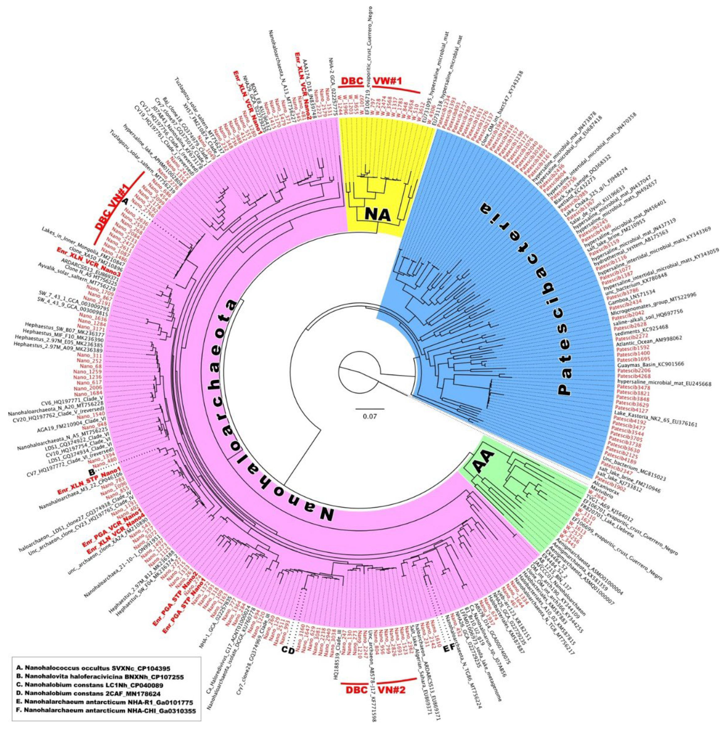 Preprints 116548 g009