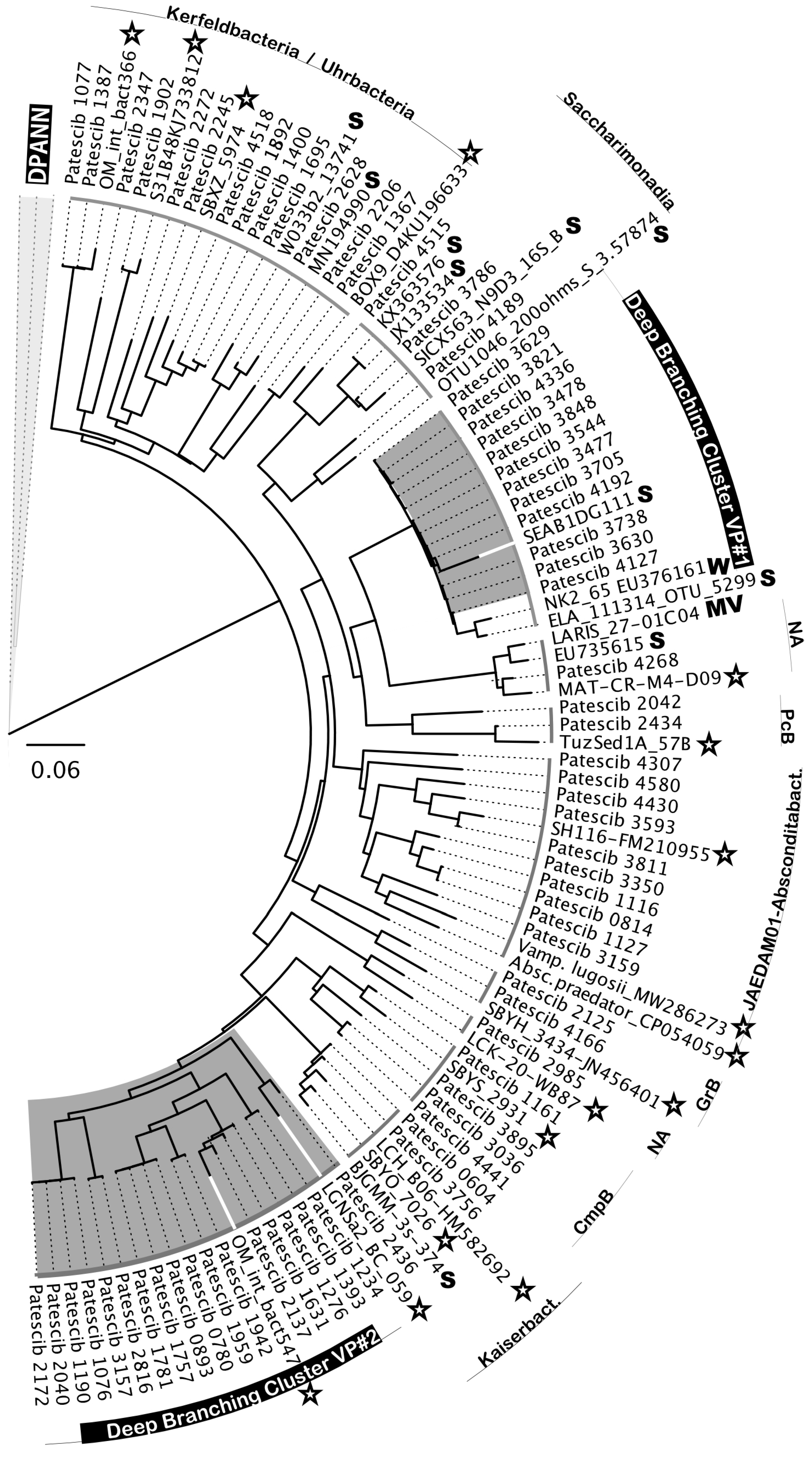 Preprints 116548 g010