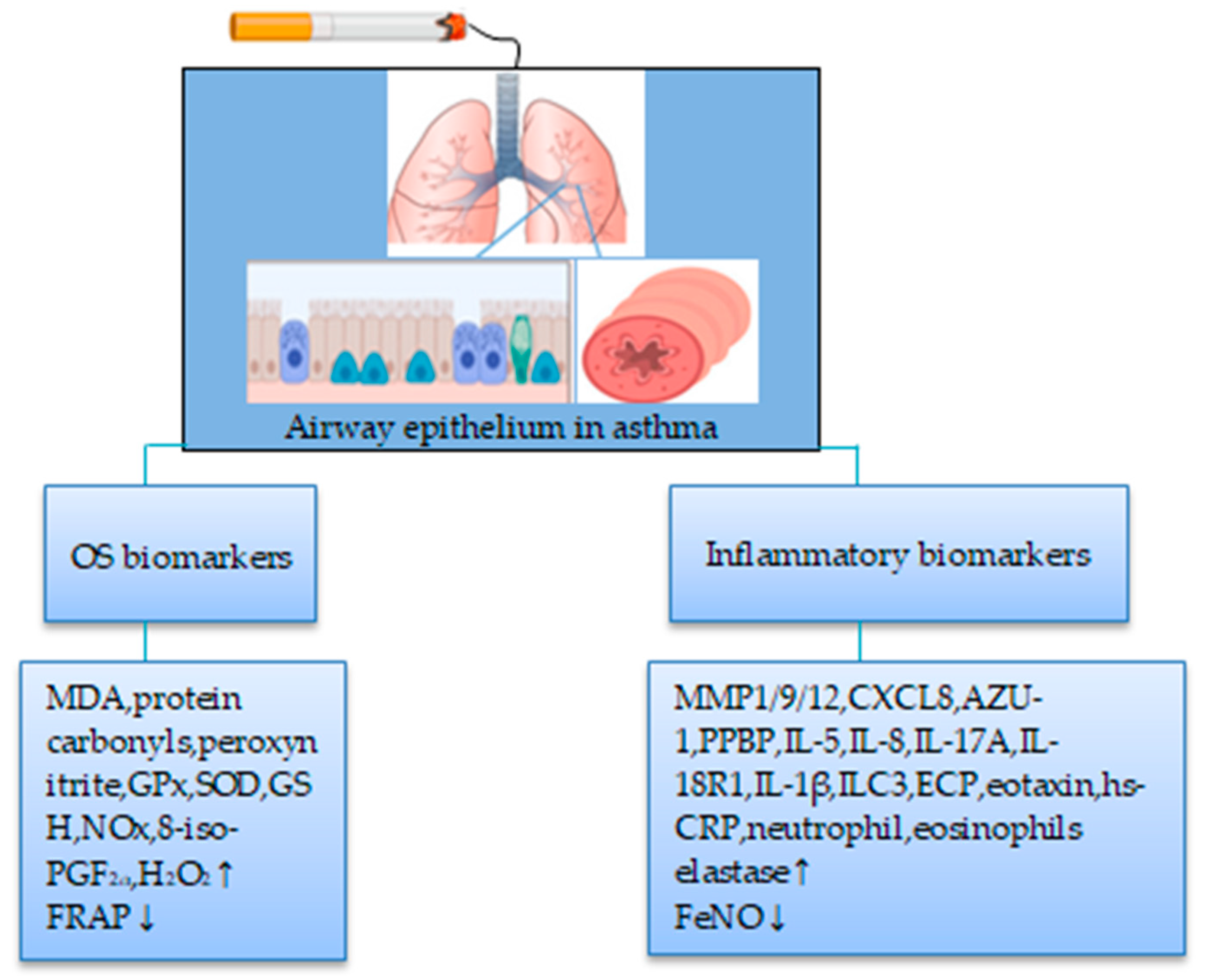 Preprints 73146 g001