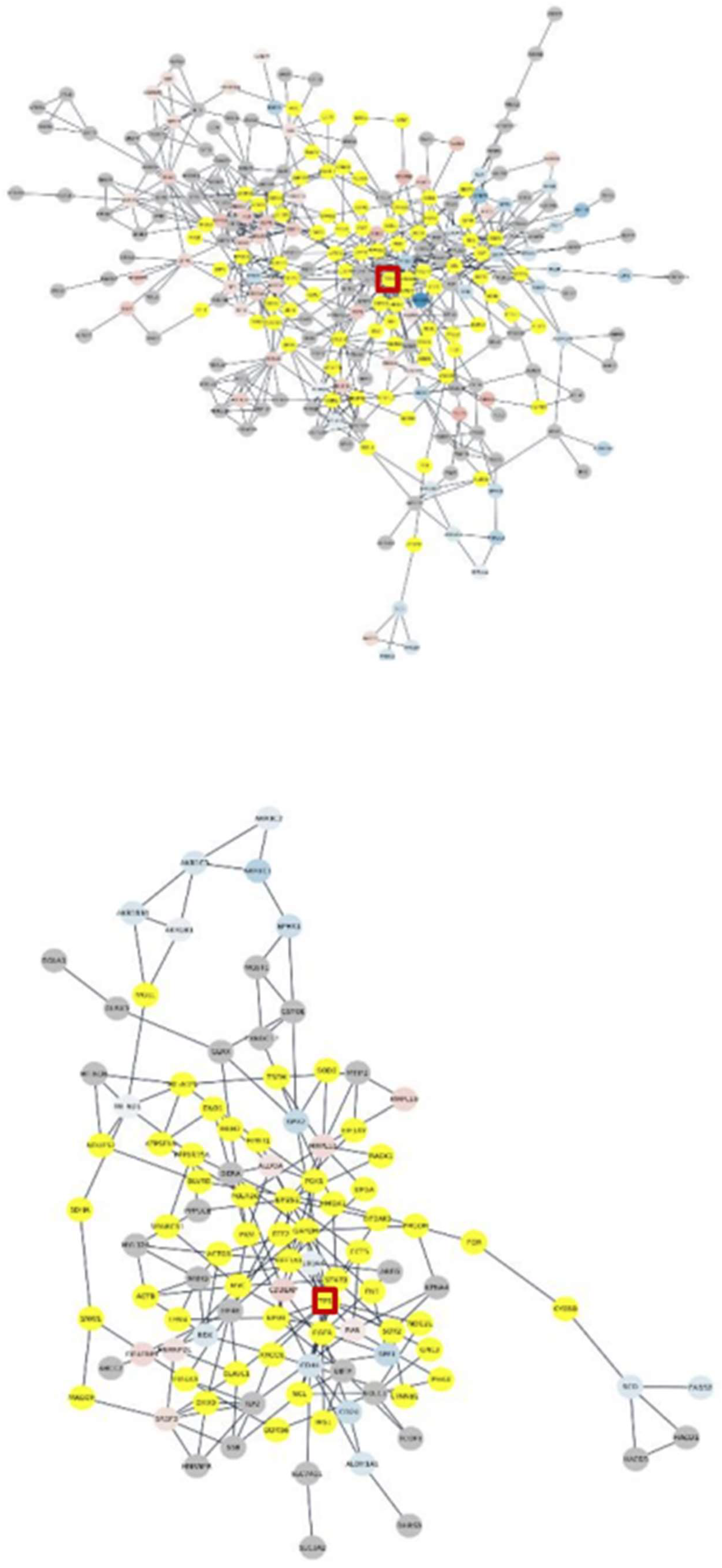 Preprints 138066 g005