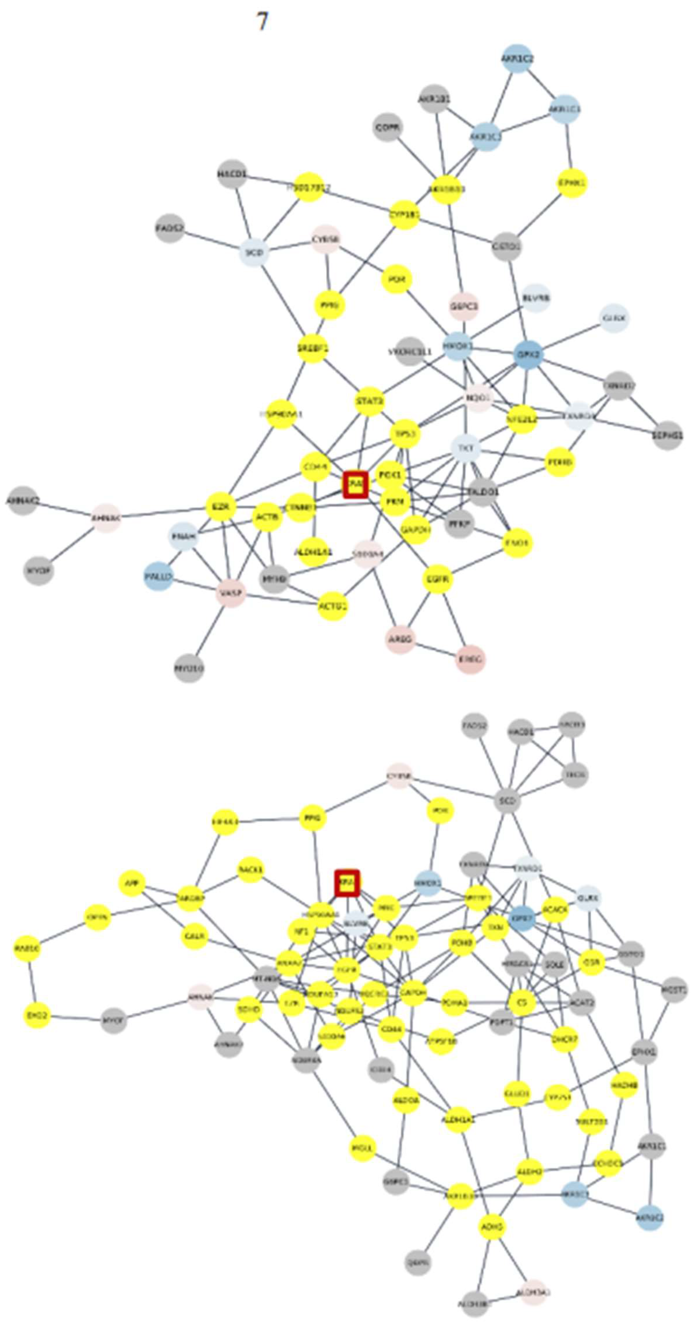 Preprints 138066 g006b