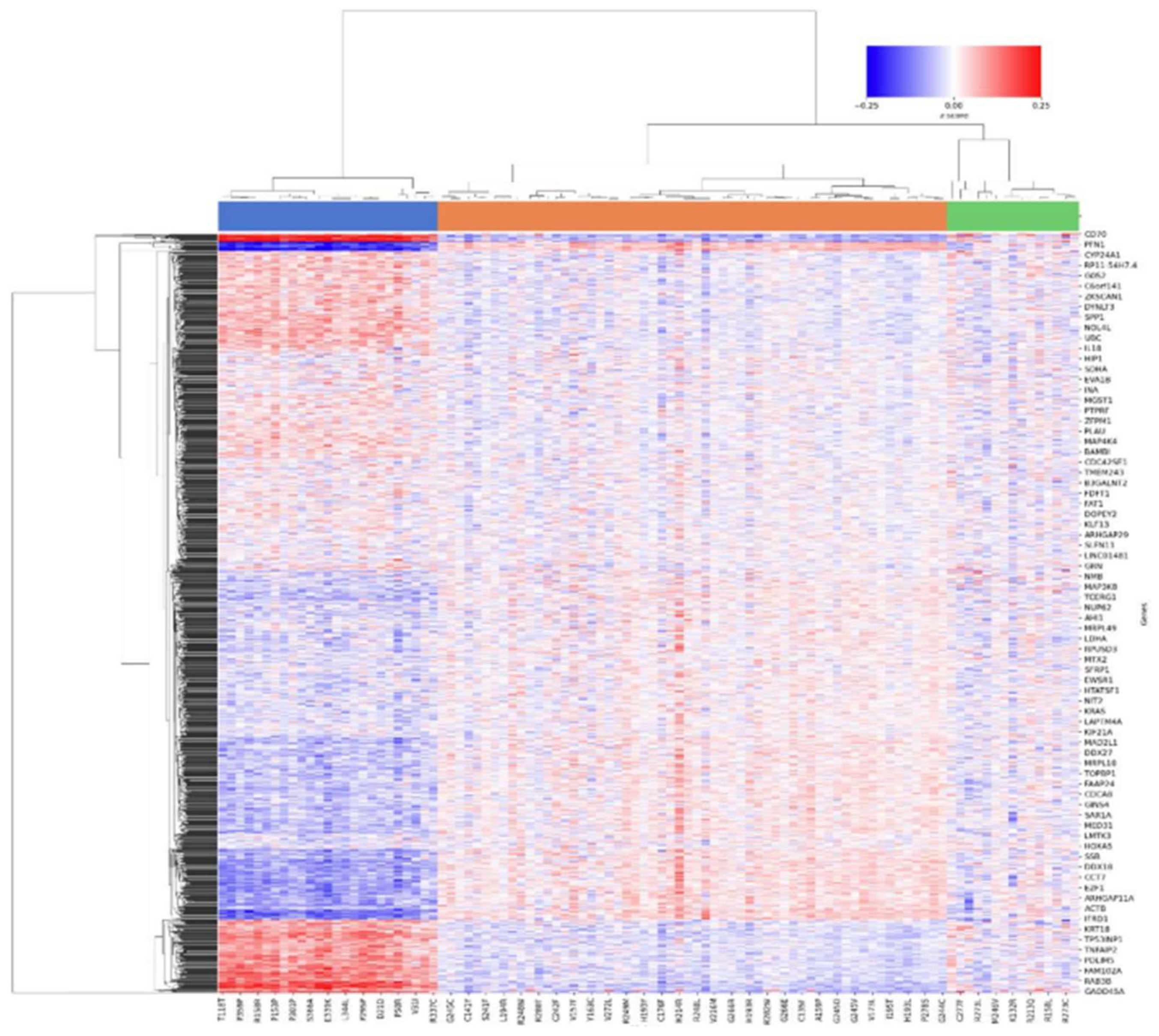 Preprints 138066 g009