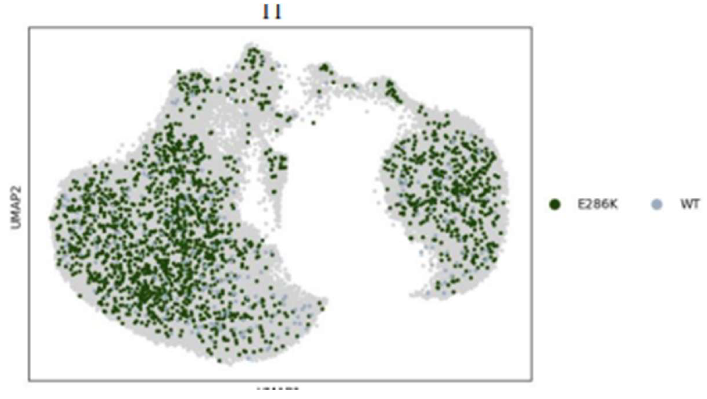 Preprints 138066 g014