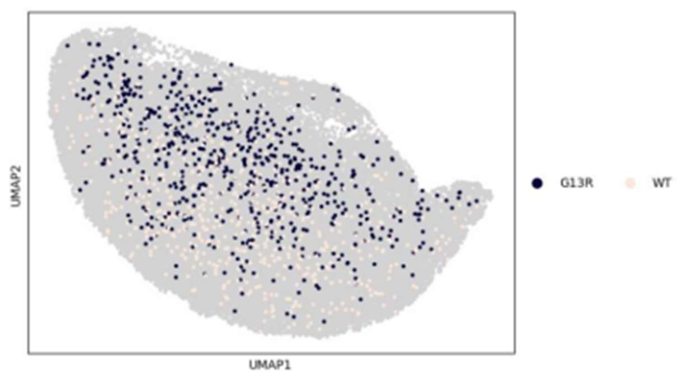 Preprints 138066 g015