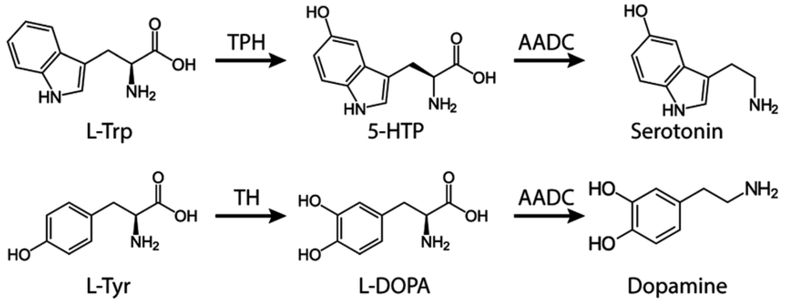 Preprints 67718 g005