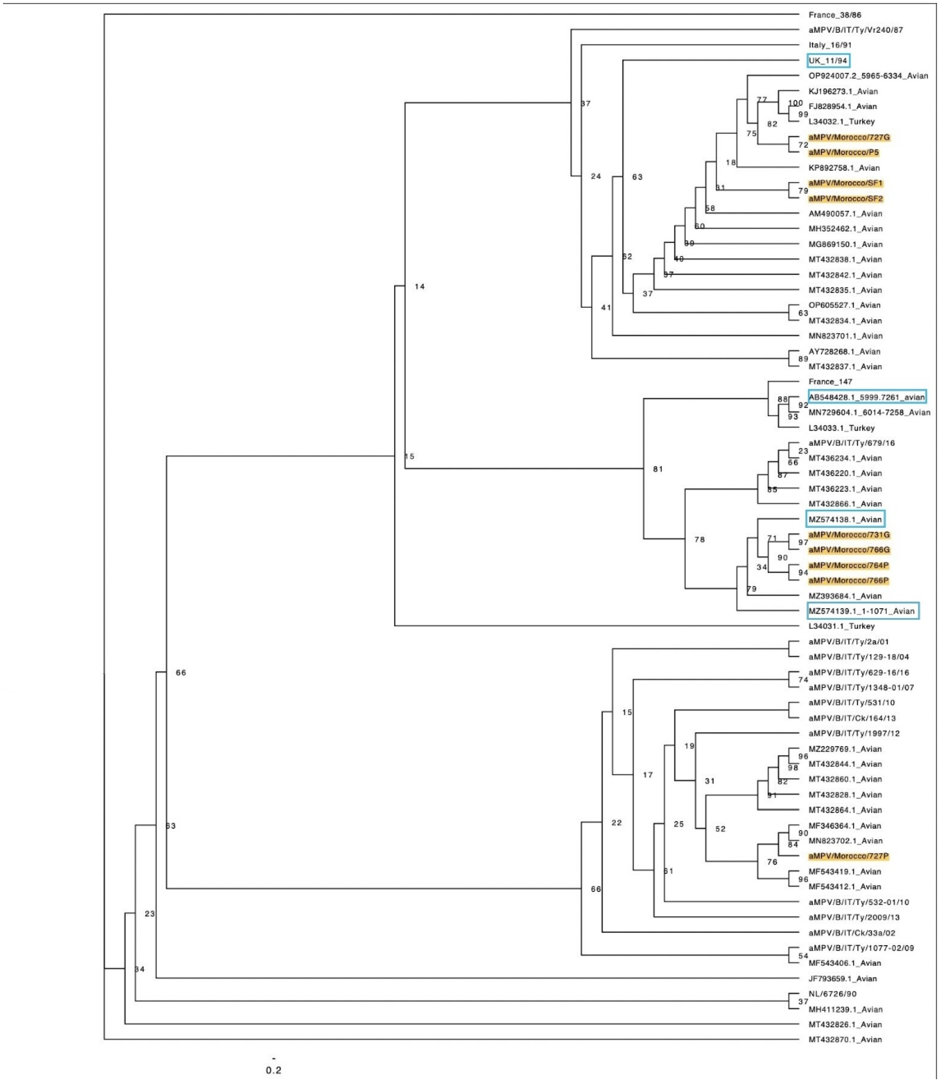 Preprints 117889 g002