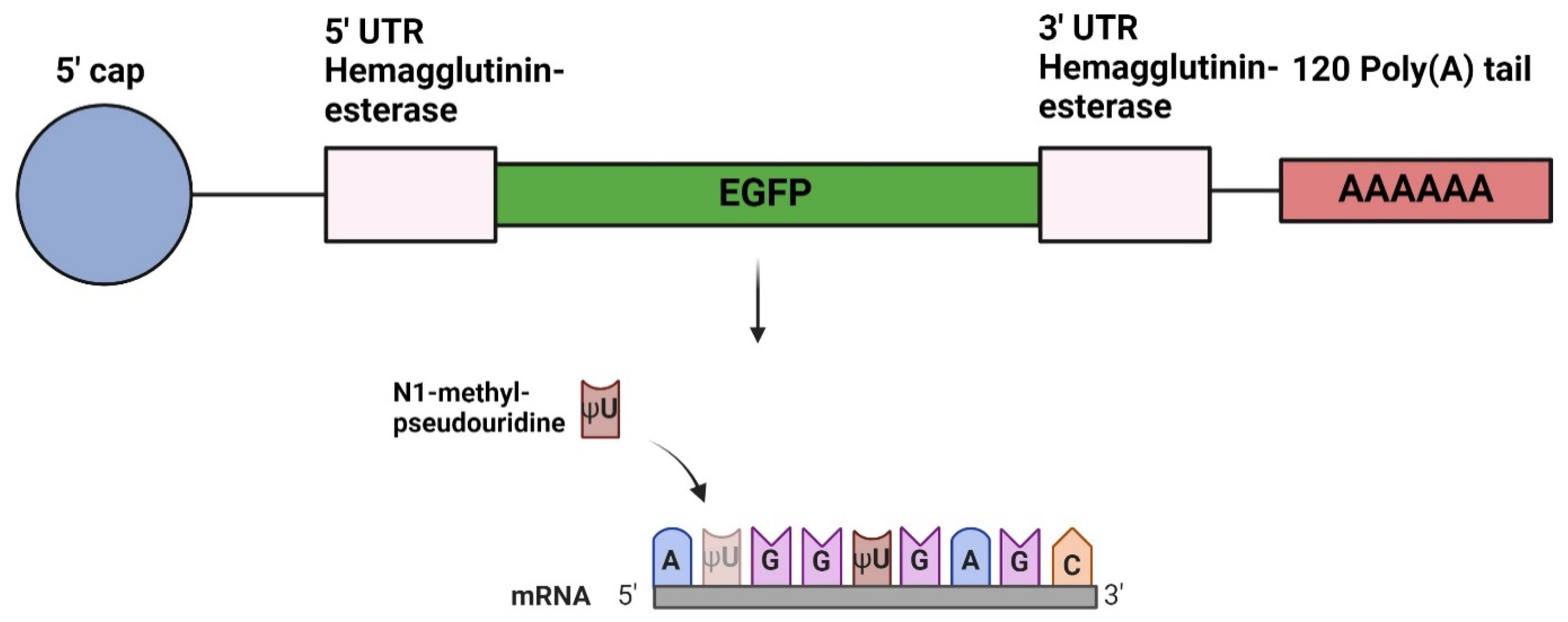 Preprints 109489 g001