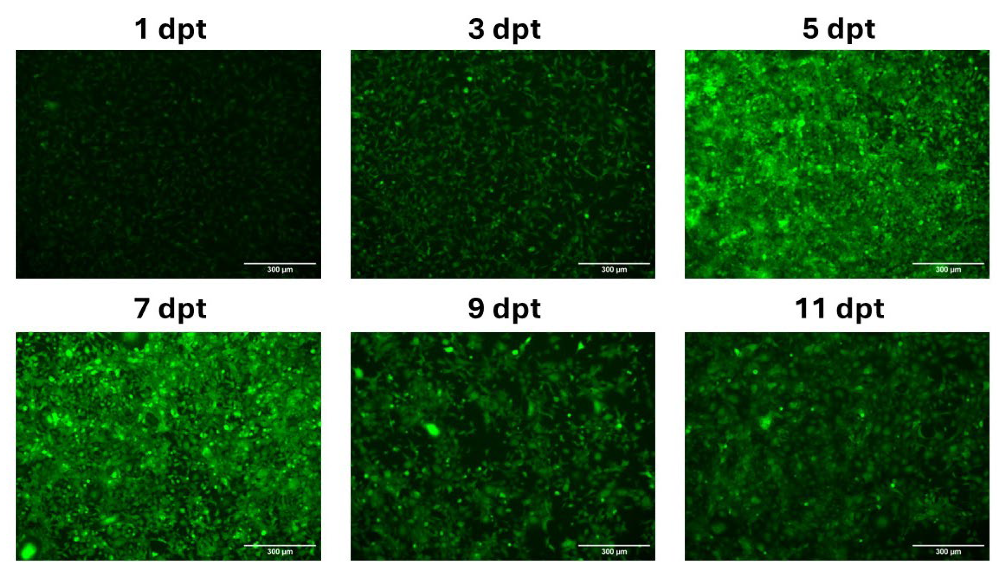 Preprints 109489 g003