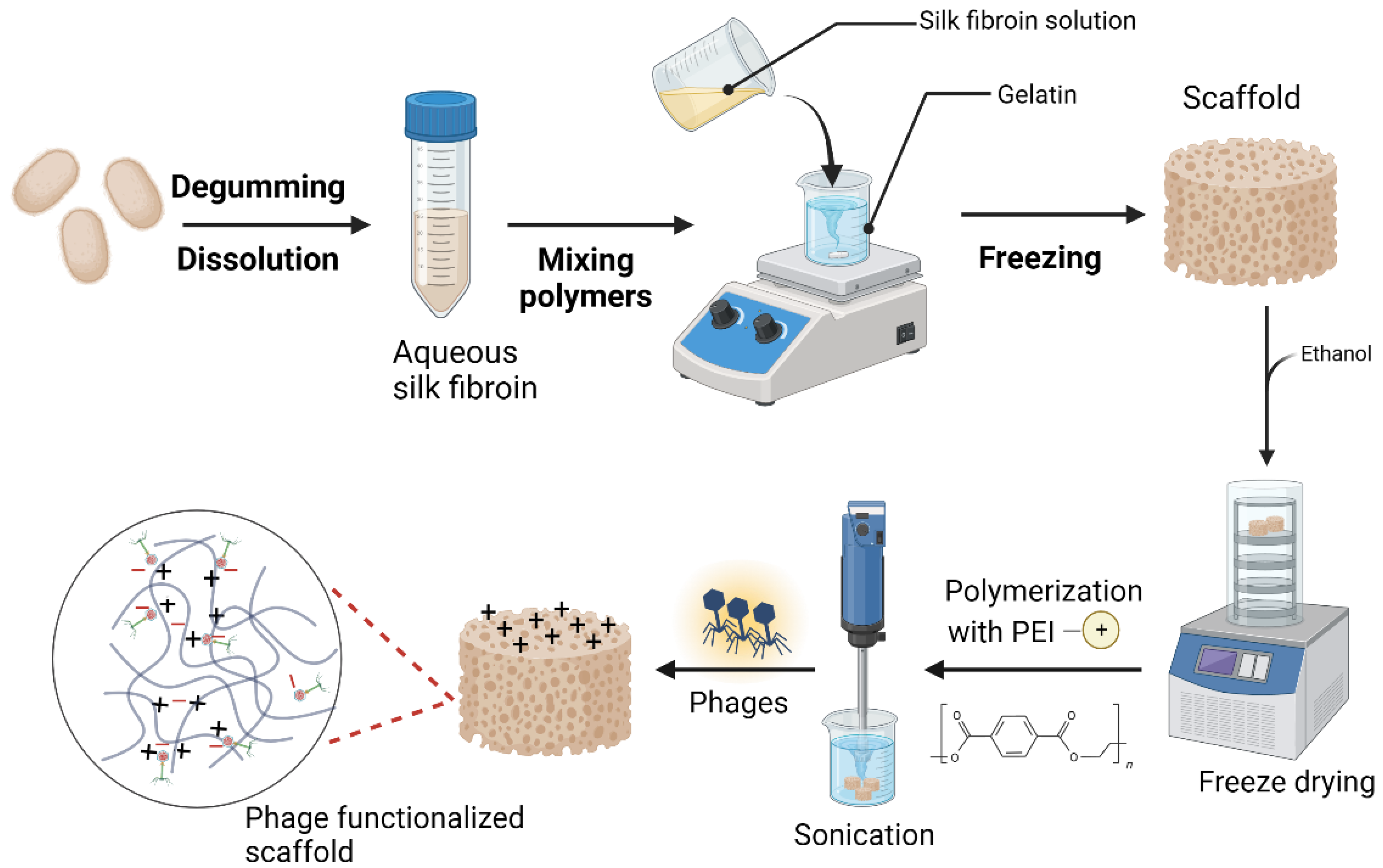 Preprints 93583 g001