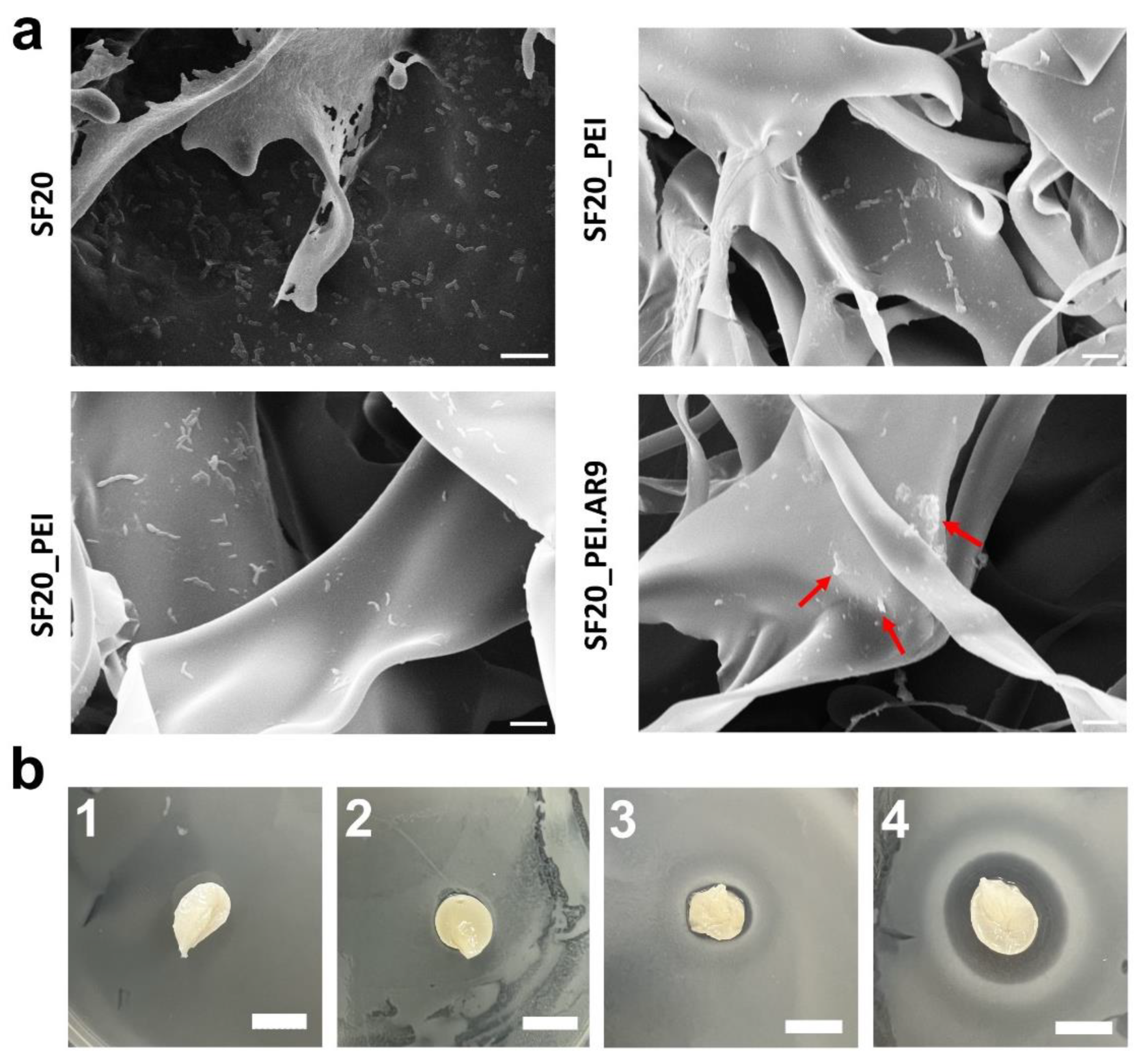 Preprints 93583 g008