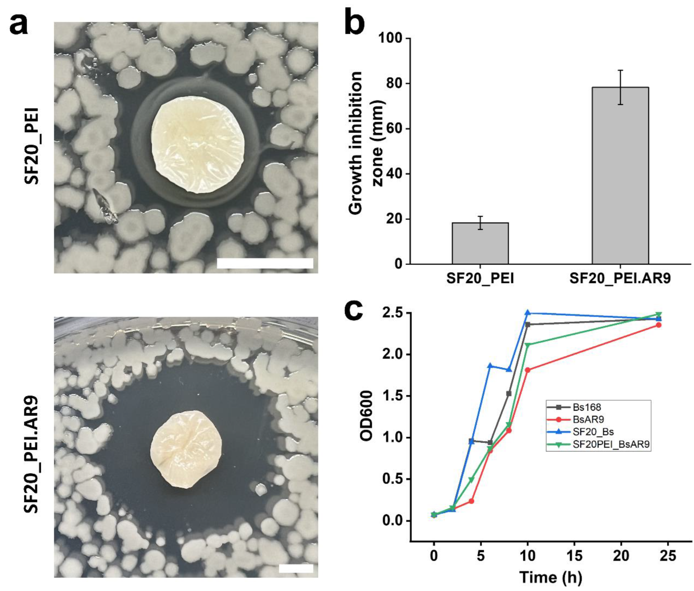 Preprints 93583 g009