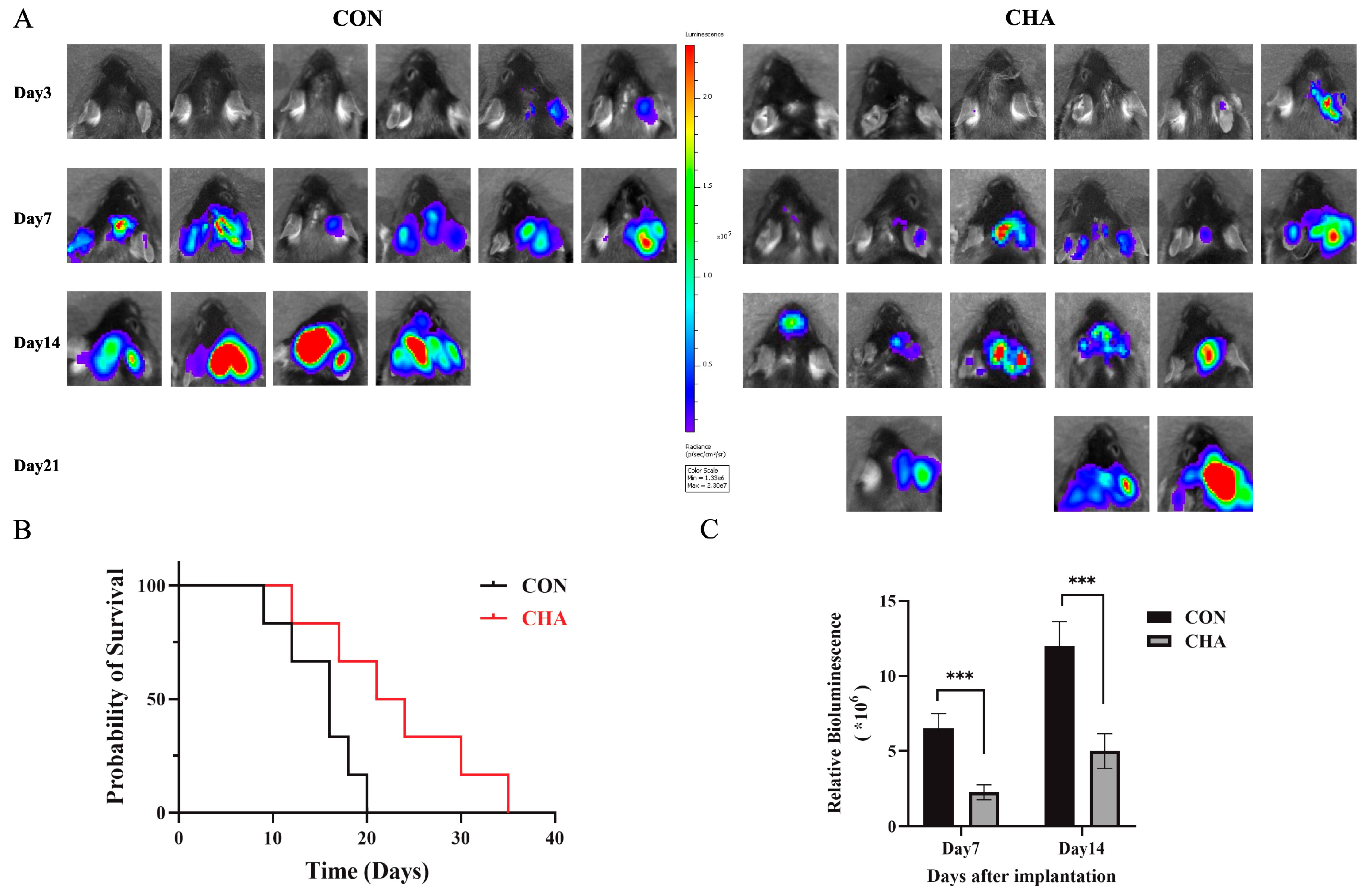 Preprints 114349 g001