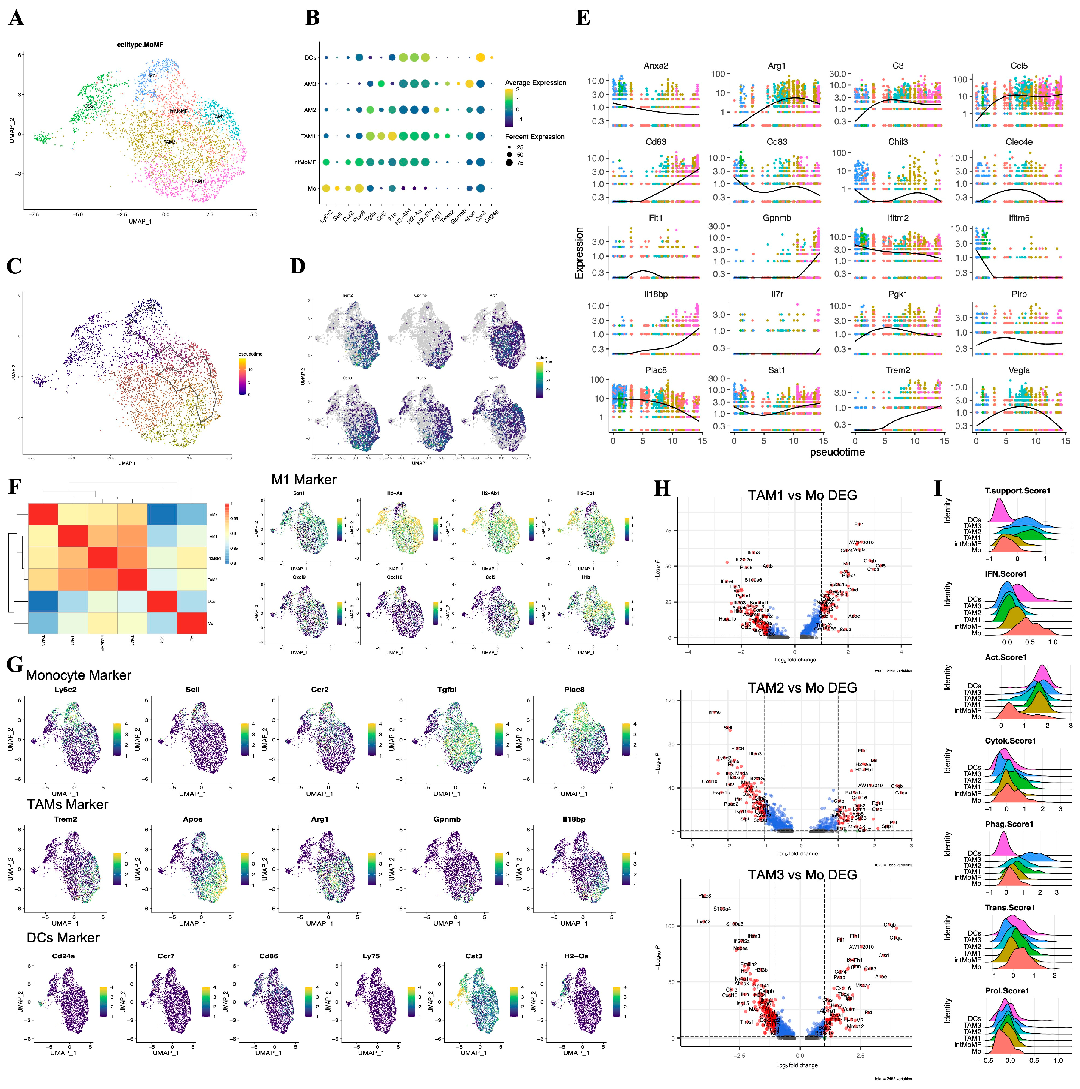 Preprints 114349 g003