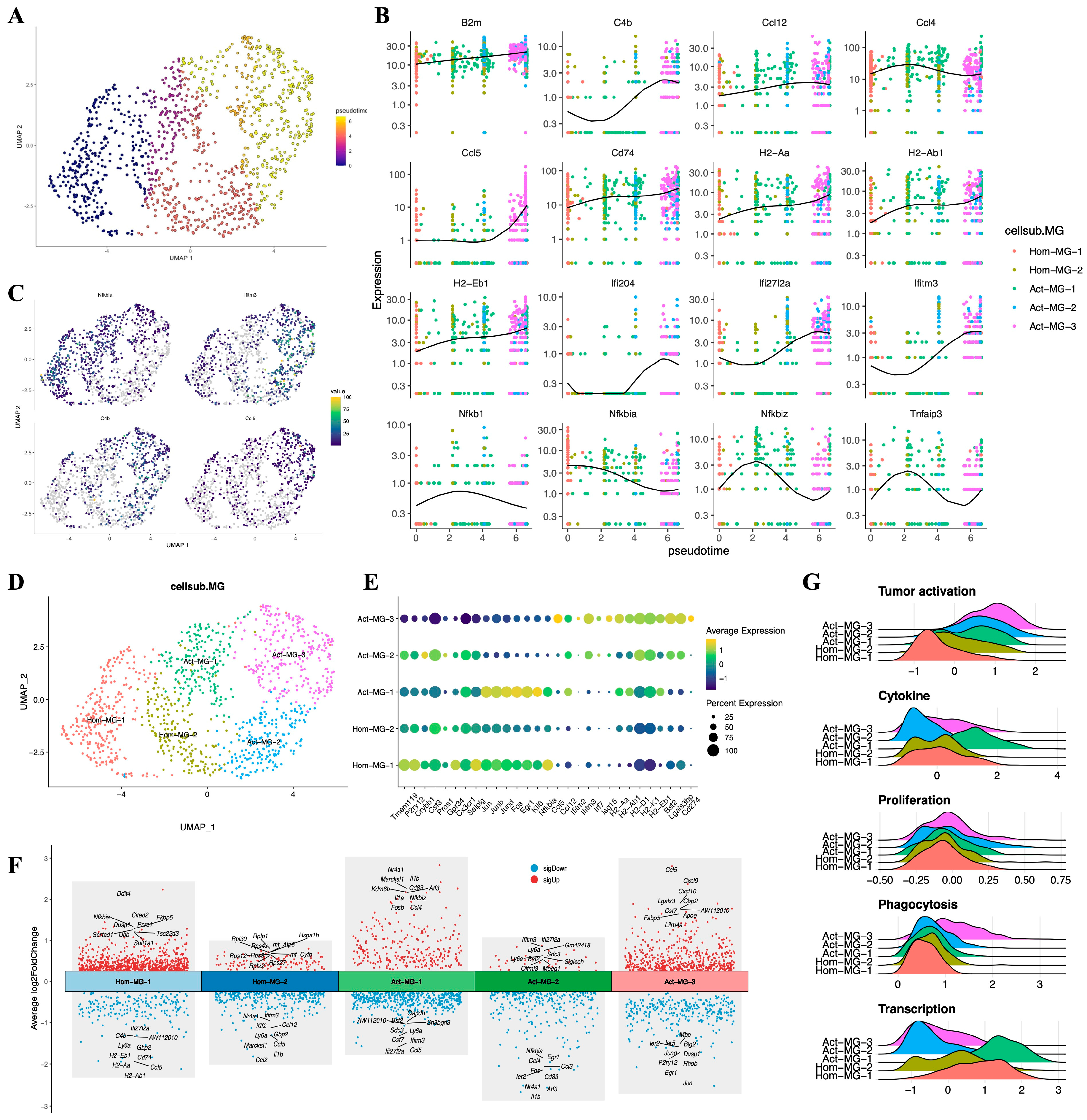 Preprints 114349 g005