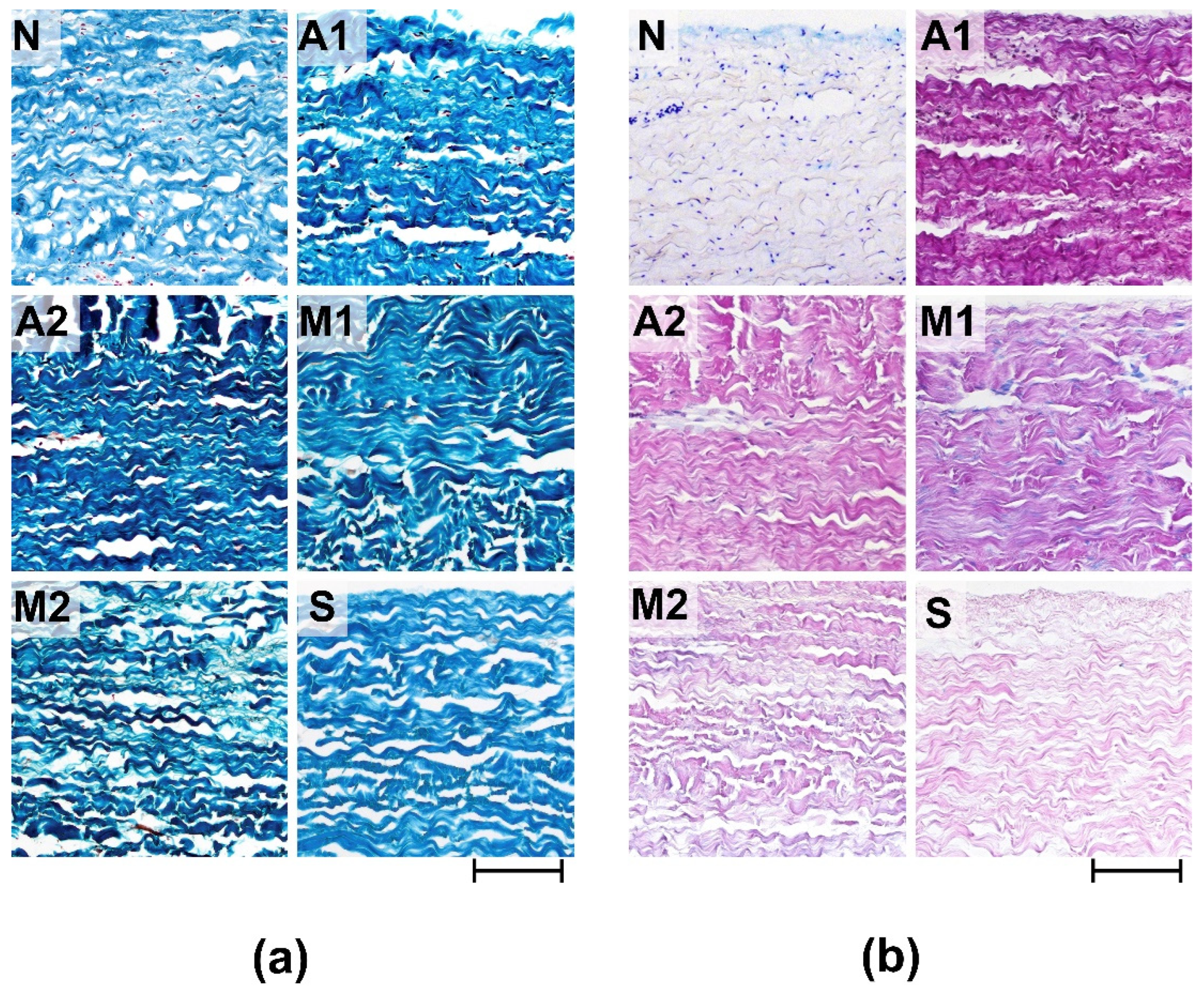 Preprints 80513 g001