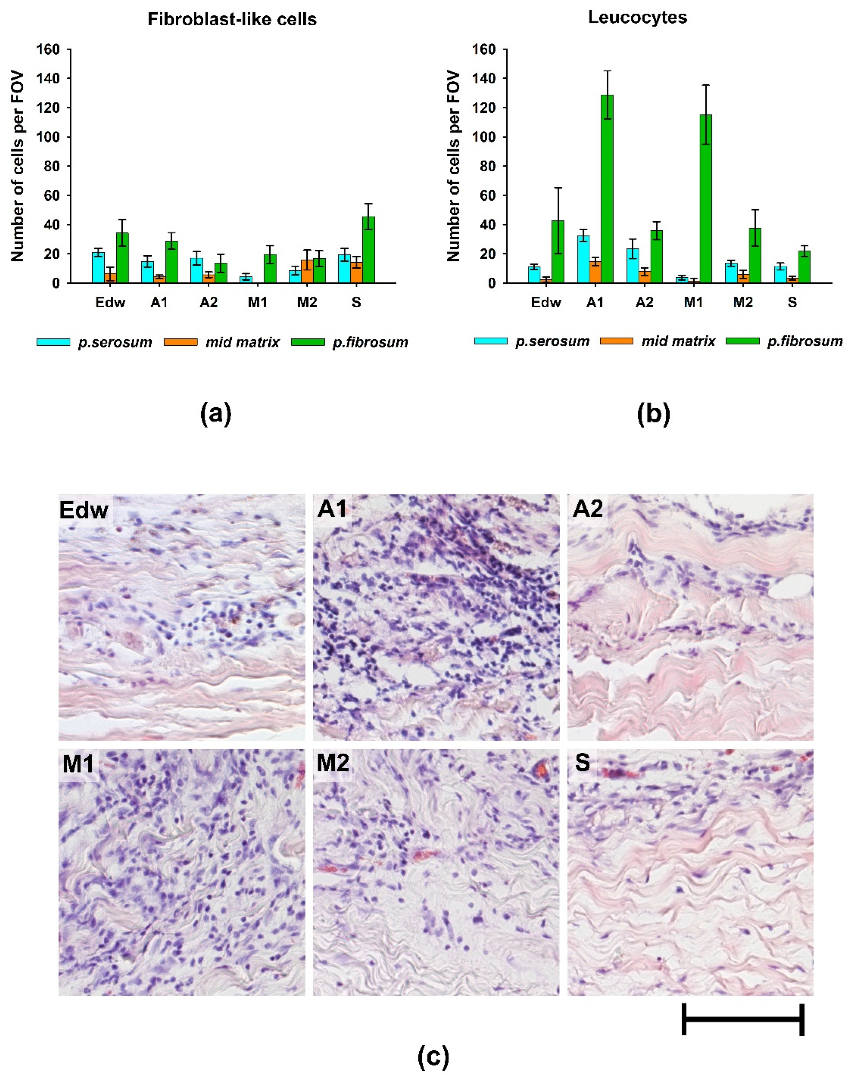 Preprints 80513 g005