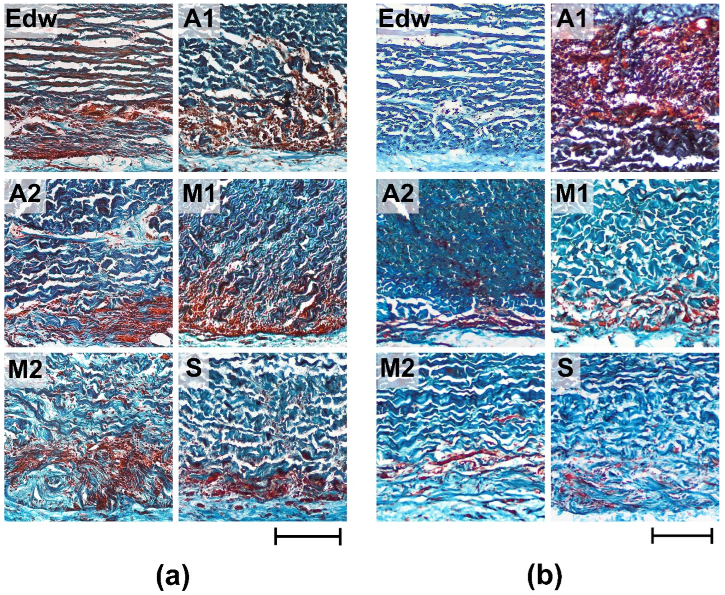 Preprints 80513 g006