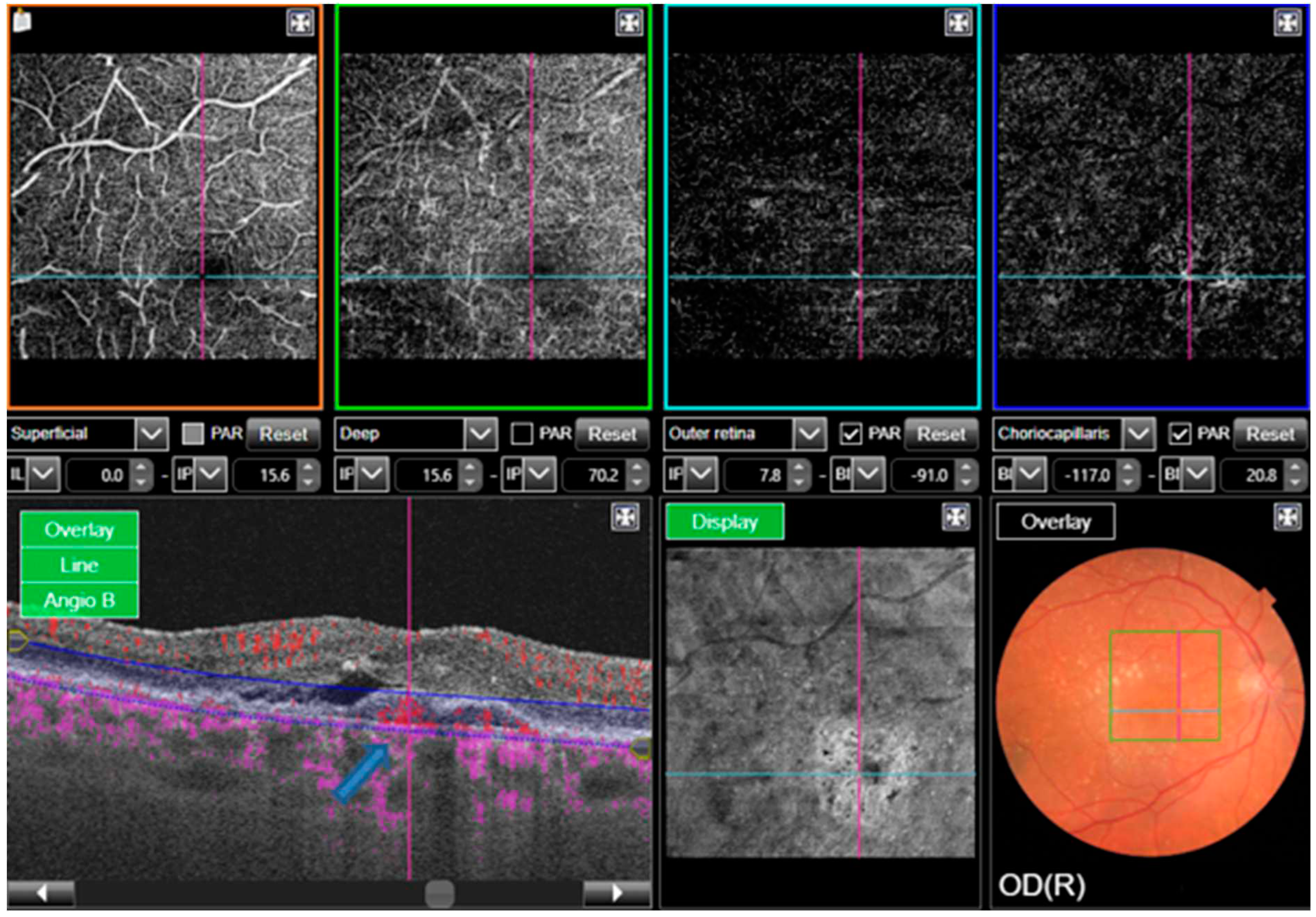 Preprints 68191 g002