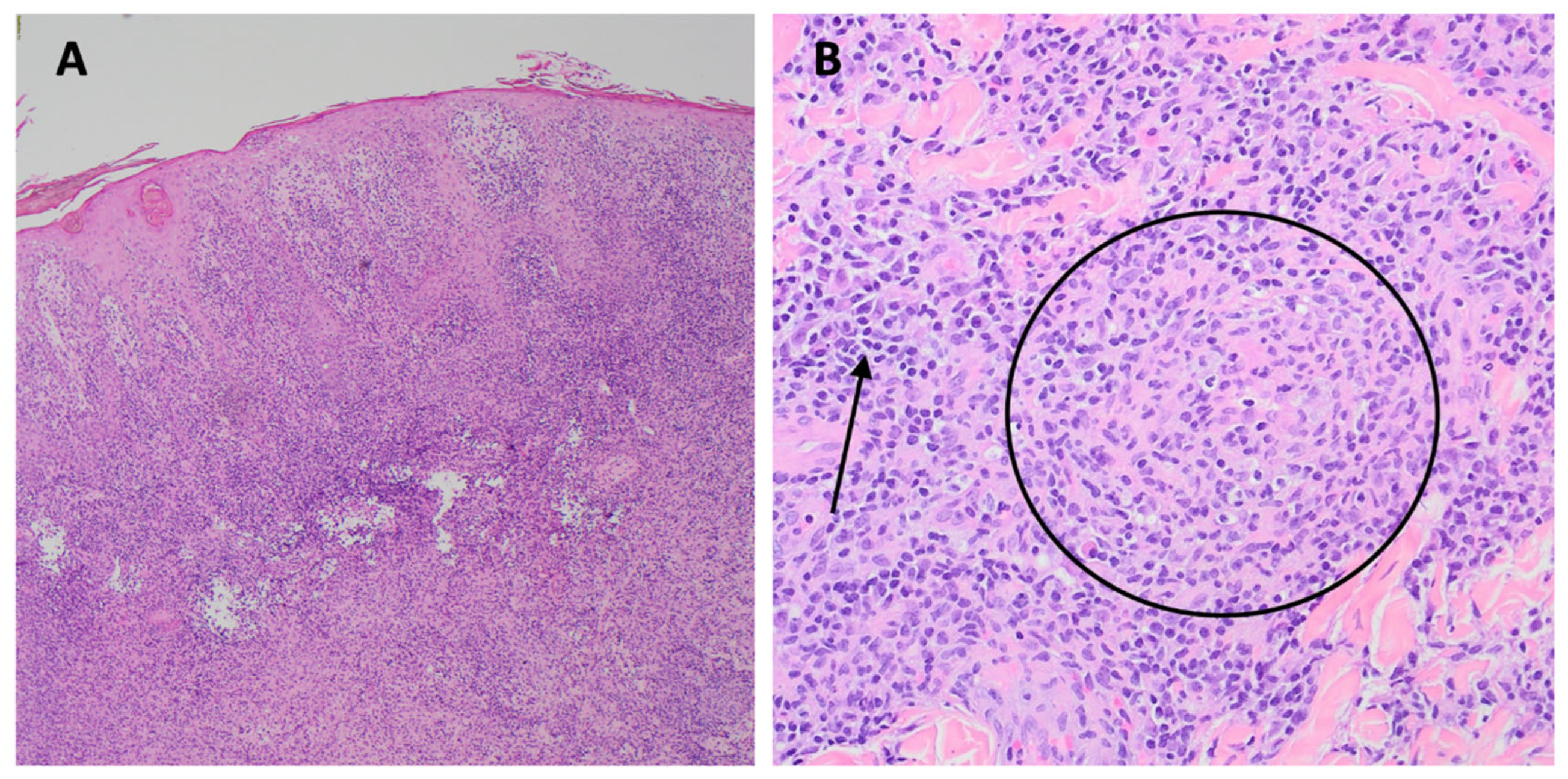 Preprints 104888 g002