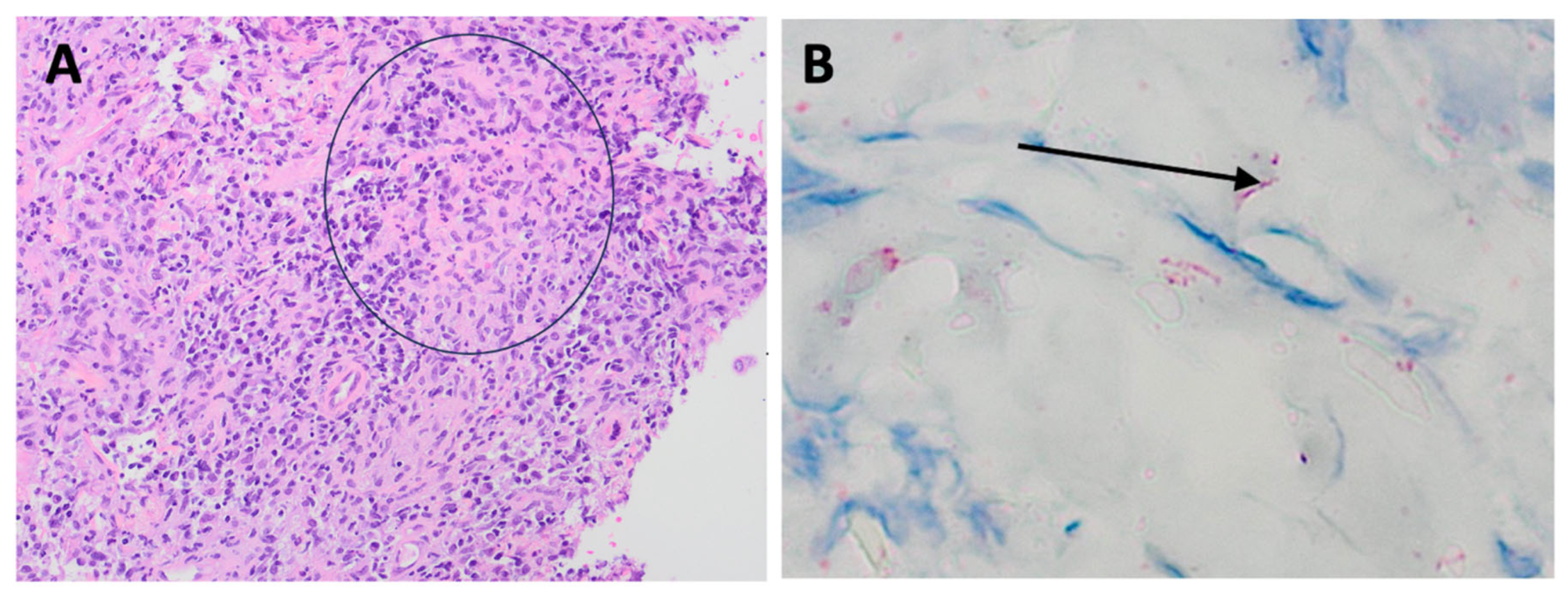 Preprints 104888 g003