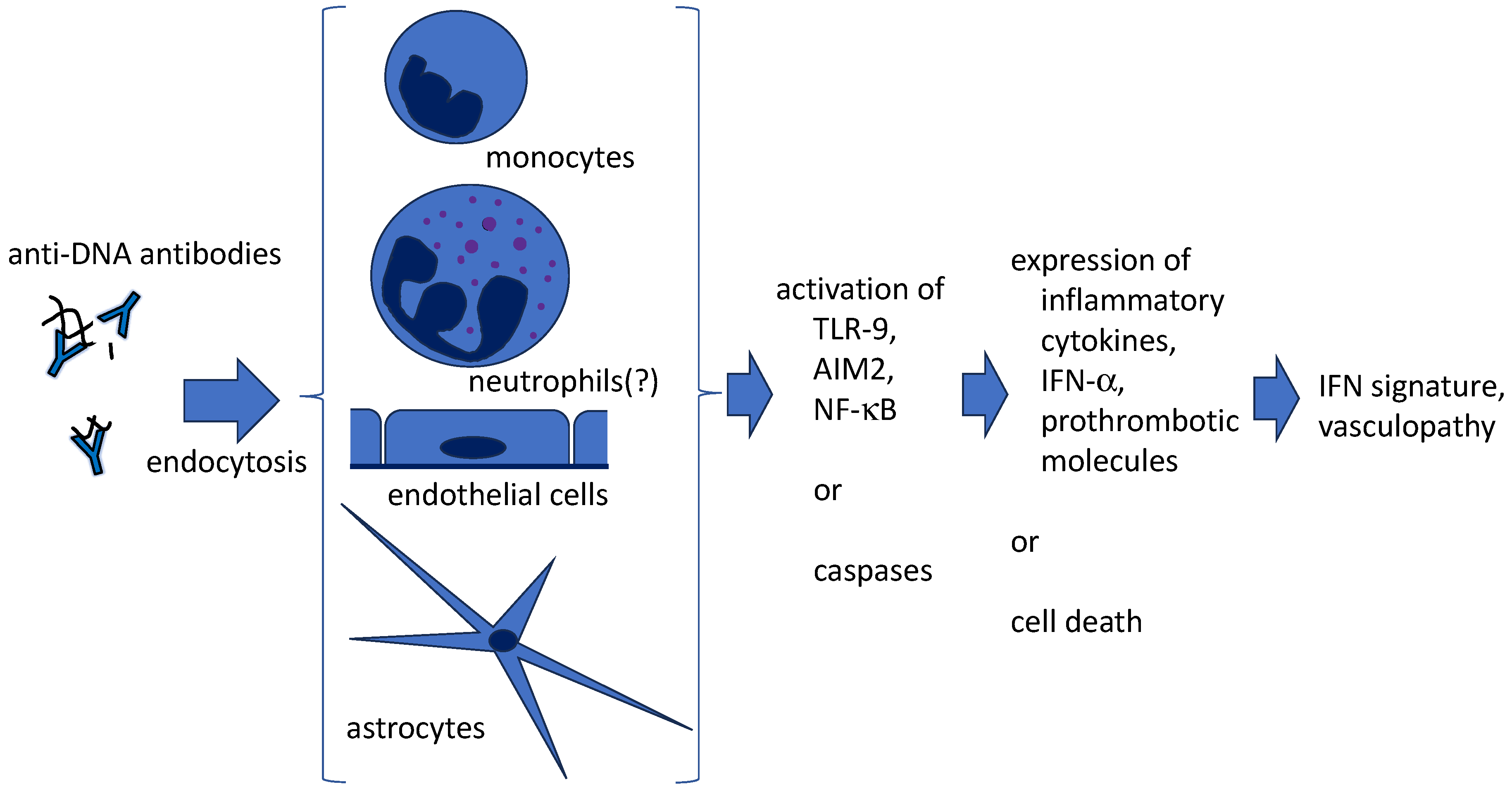 Preprints 89246 g001