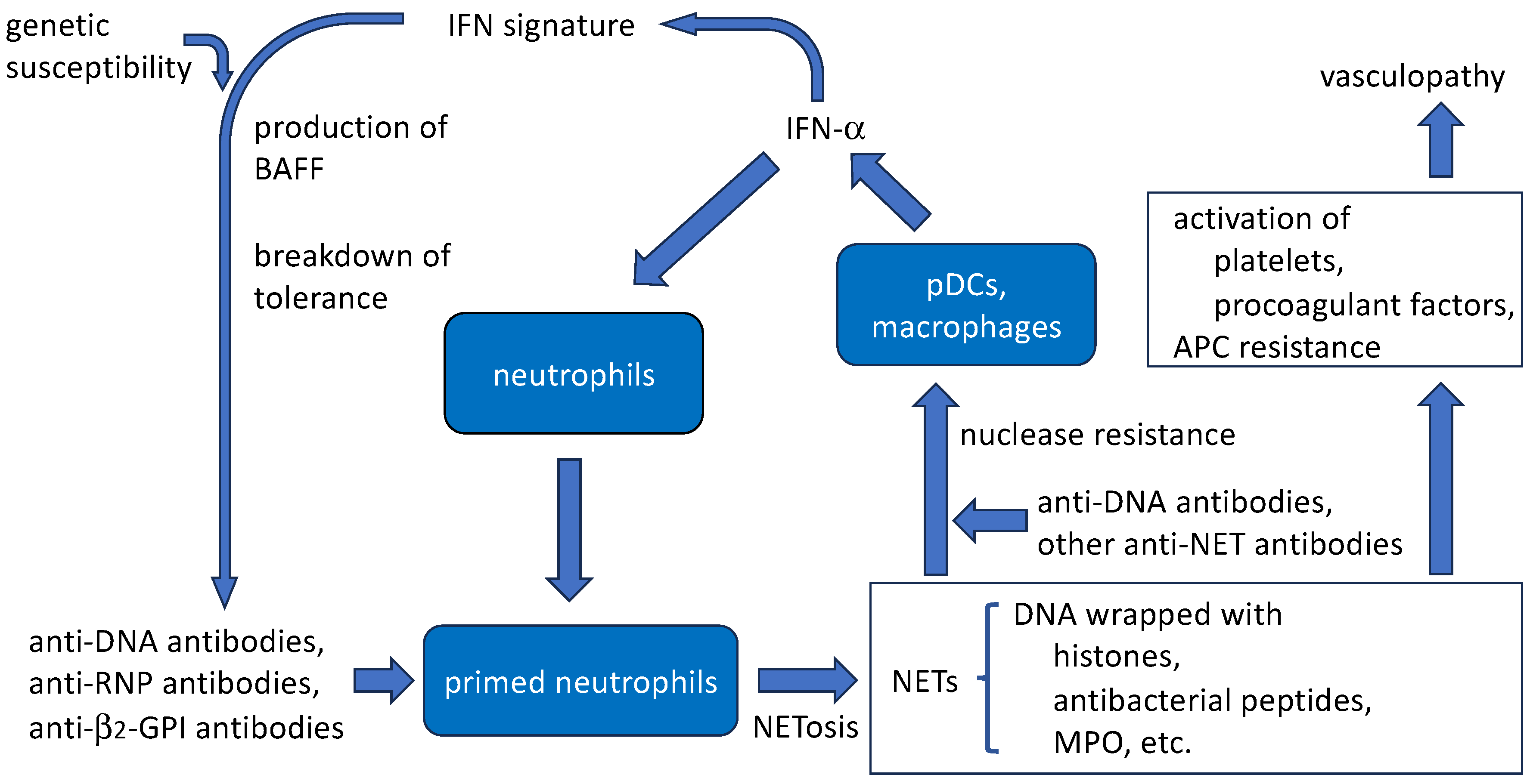 Preprints 89246 g002