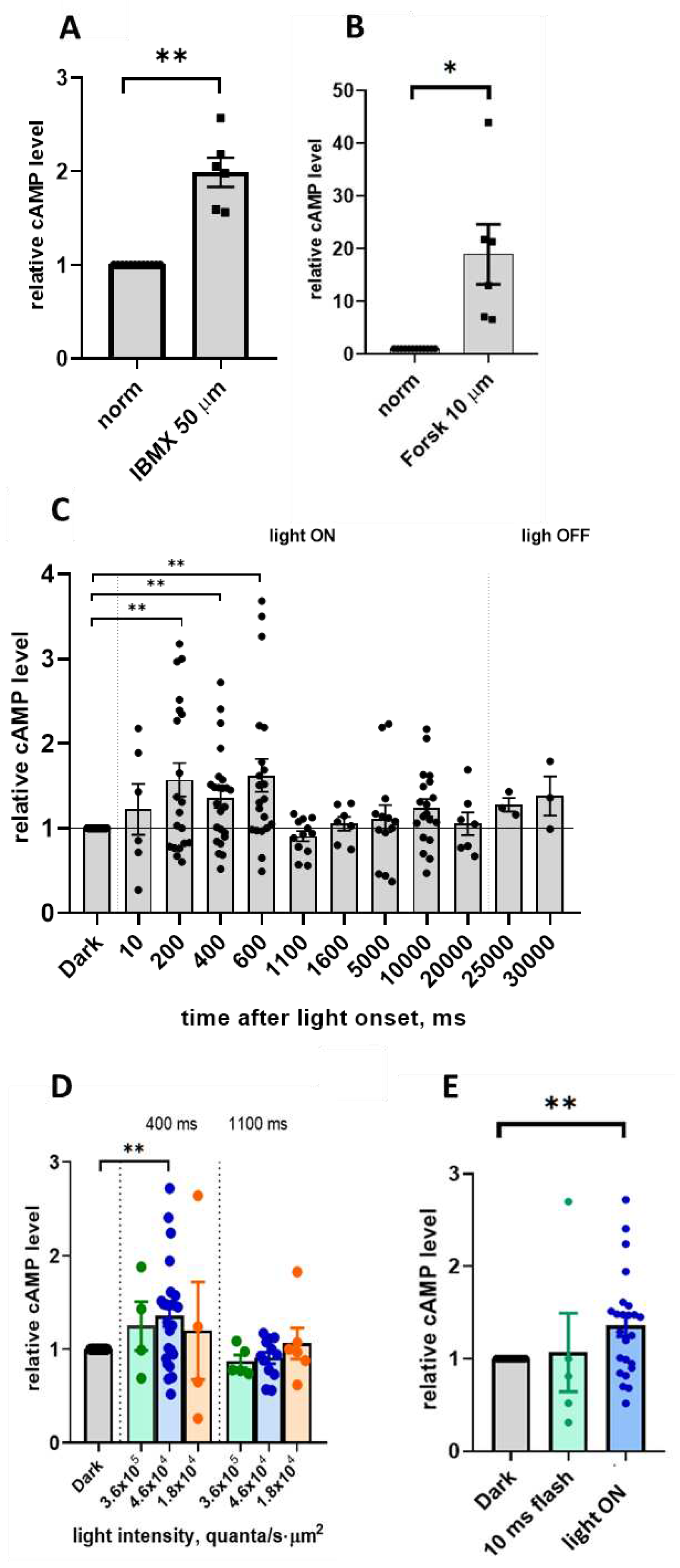 Preprints 89144 g001