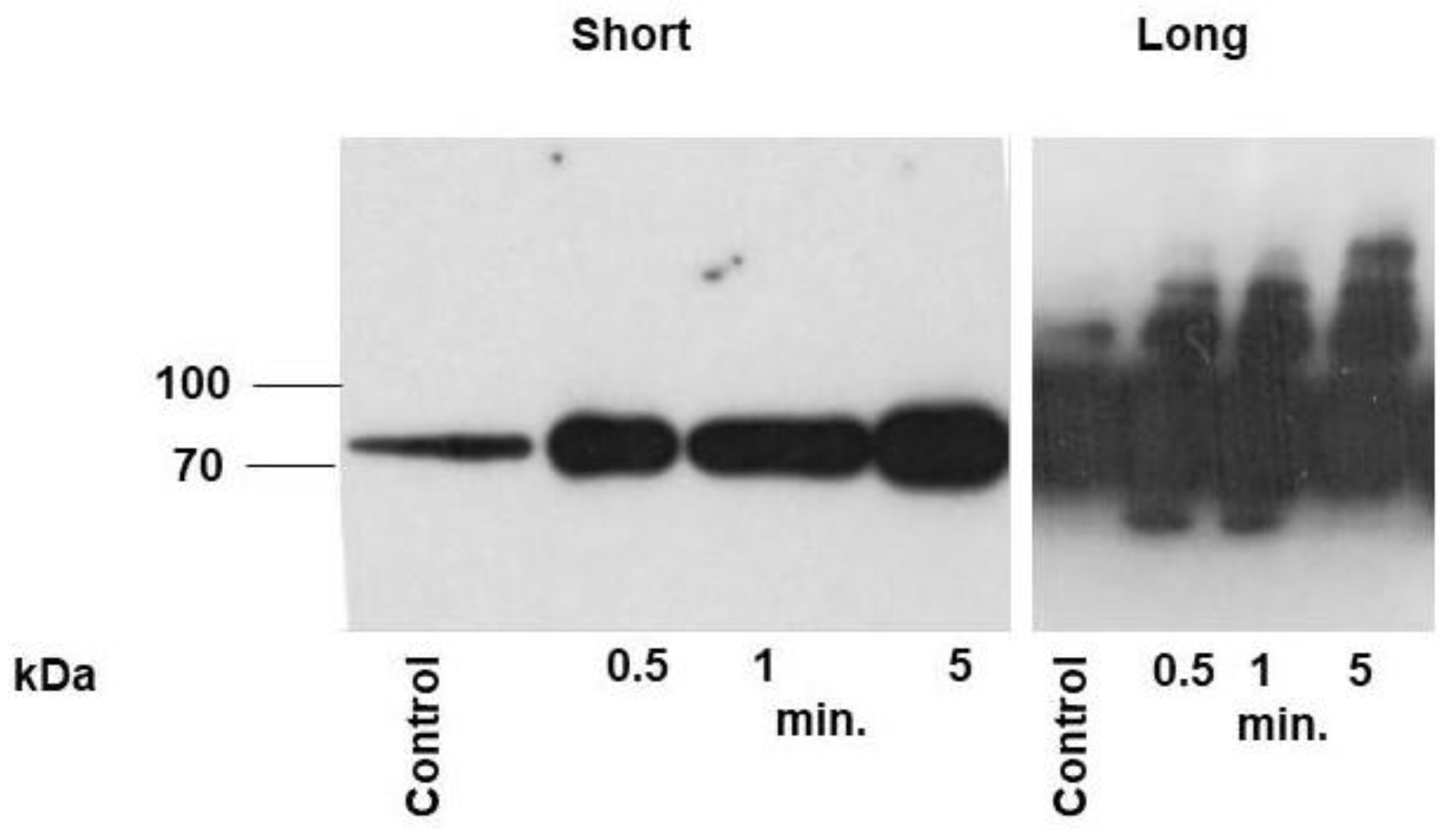 Preprints 89144 g002