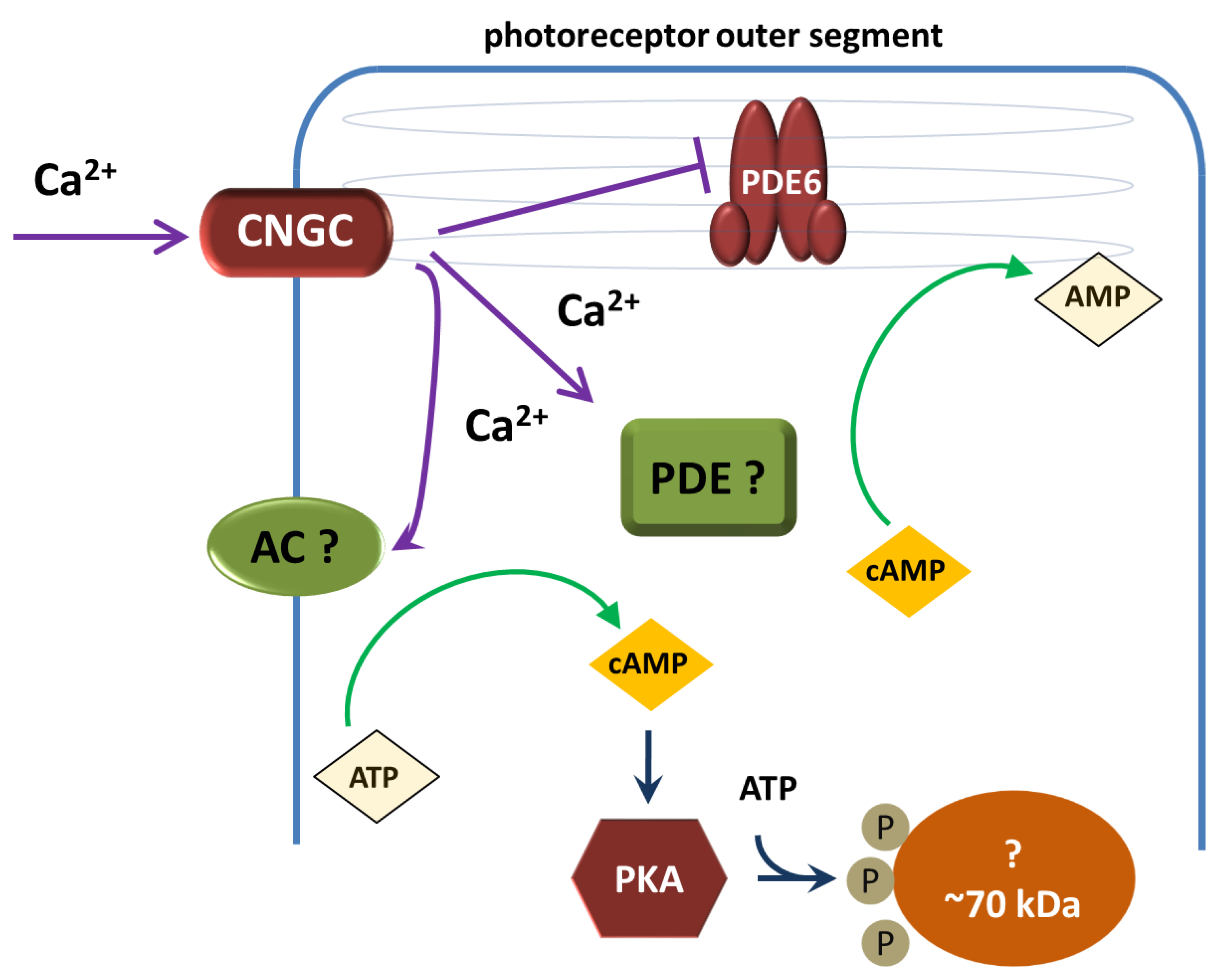 Preprints 89144 g003