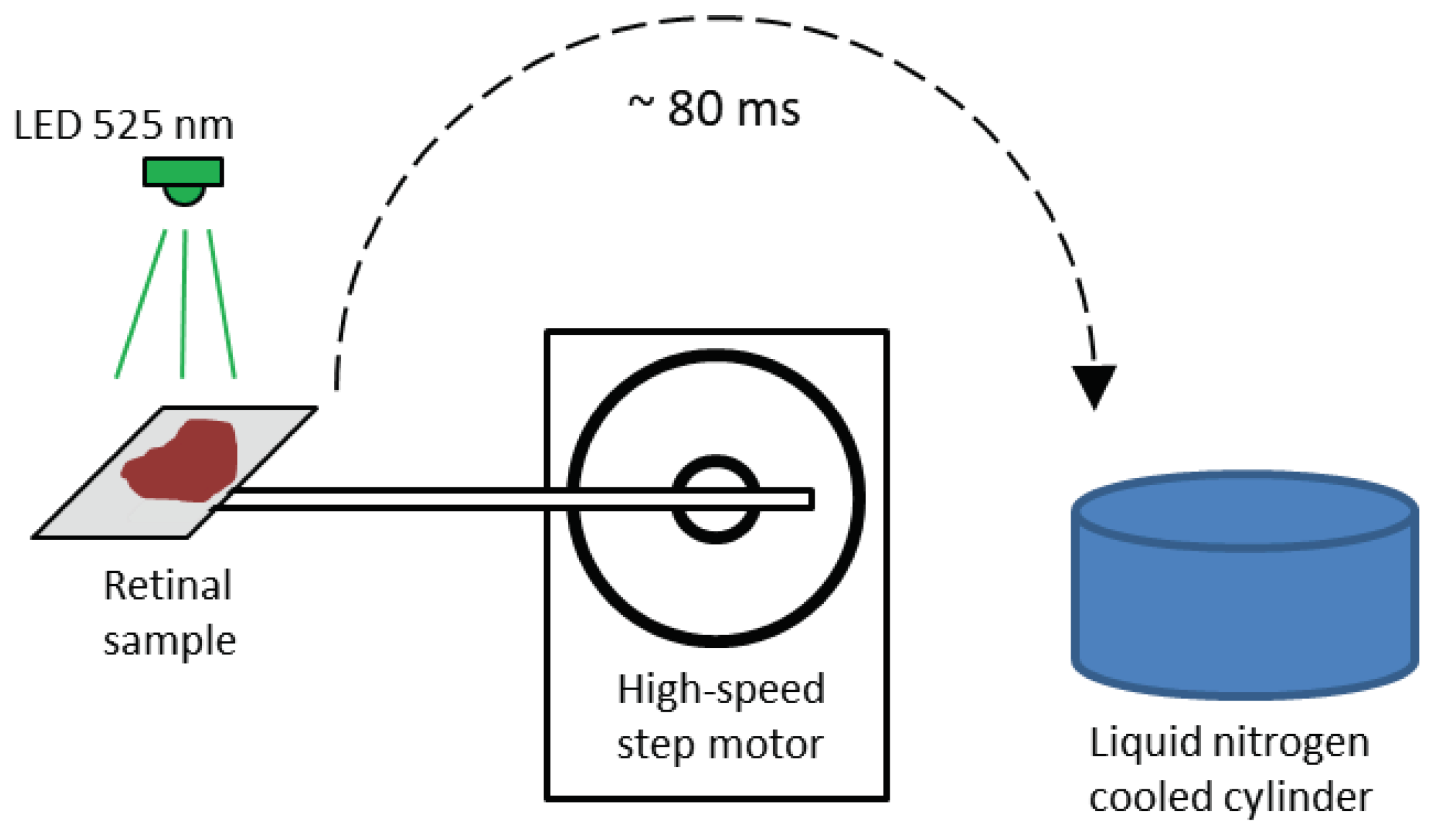 Preprints 89144 g004