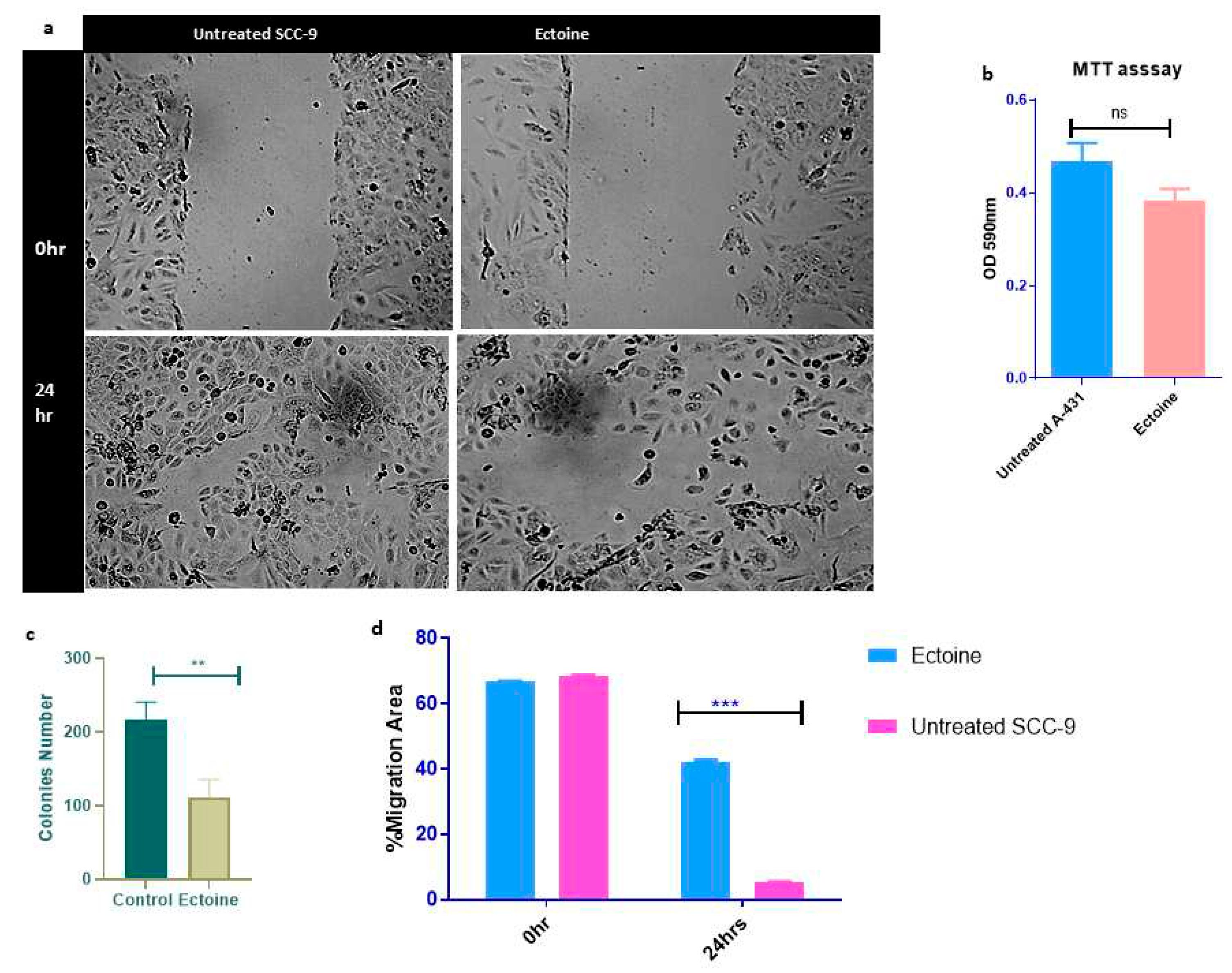 Preprints 81532 g003