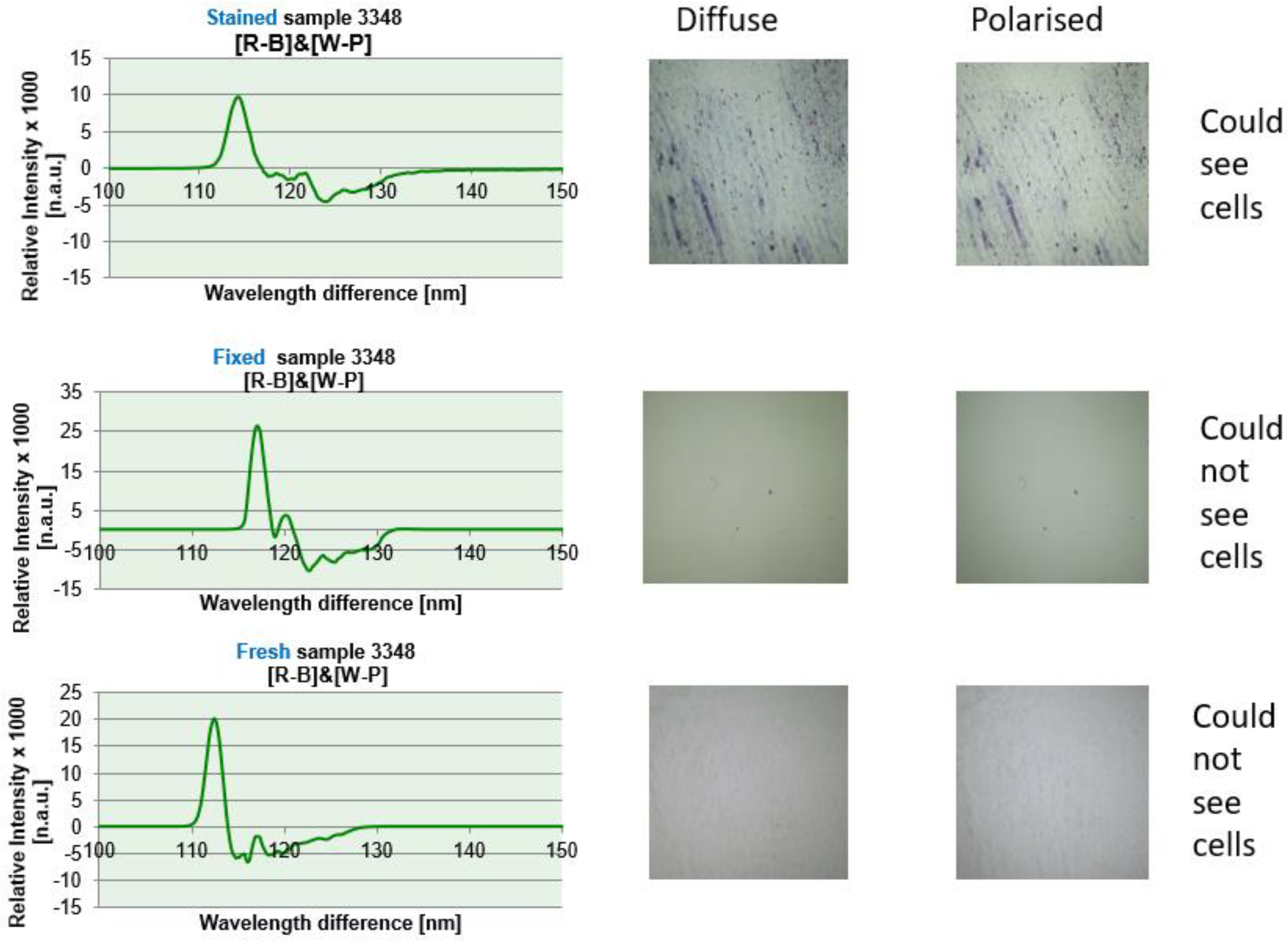 Preprints 89947 g004