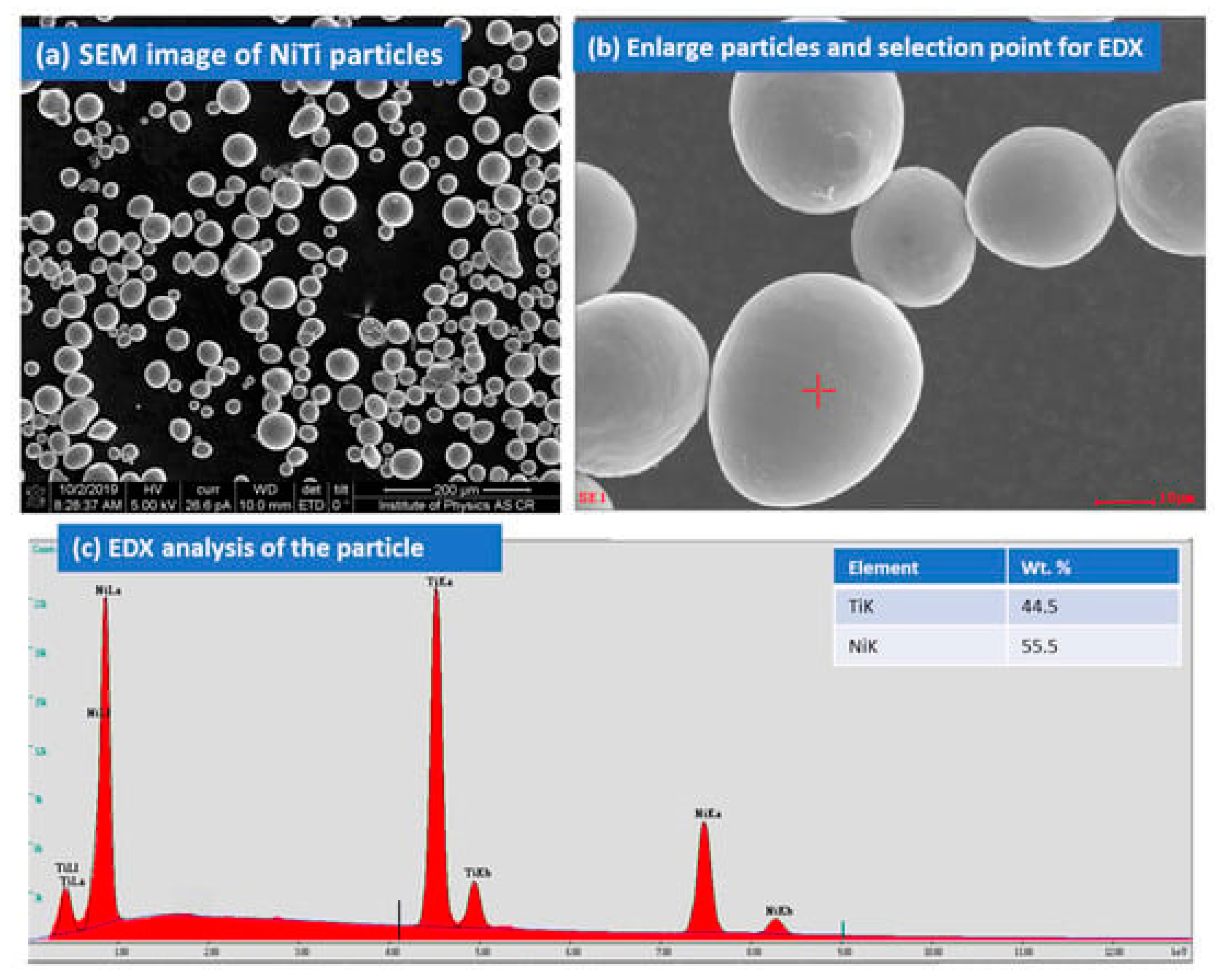 Preprints 74739 g001