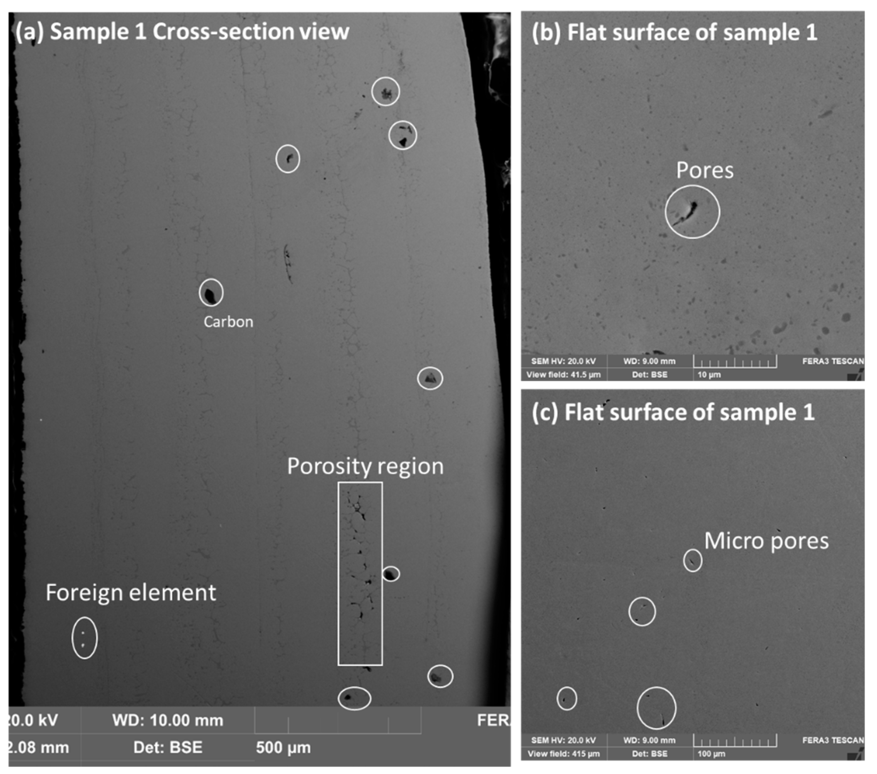 Preprints 74739 g002