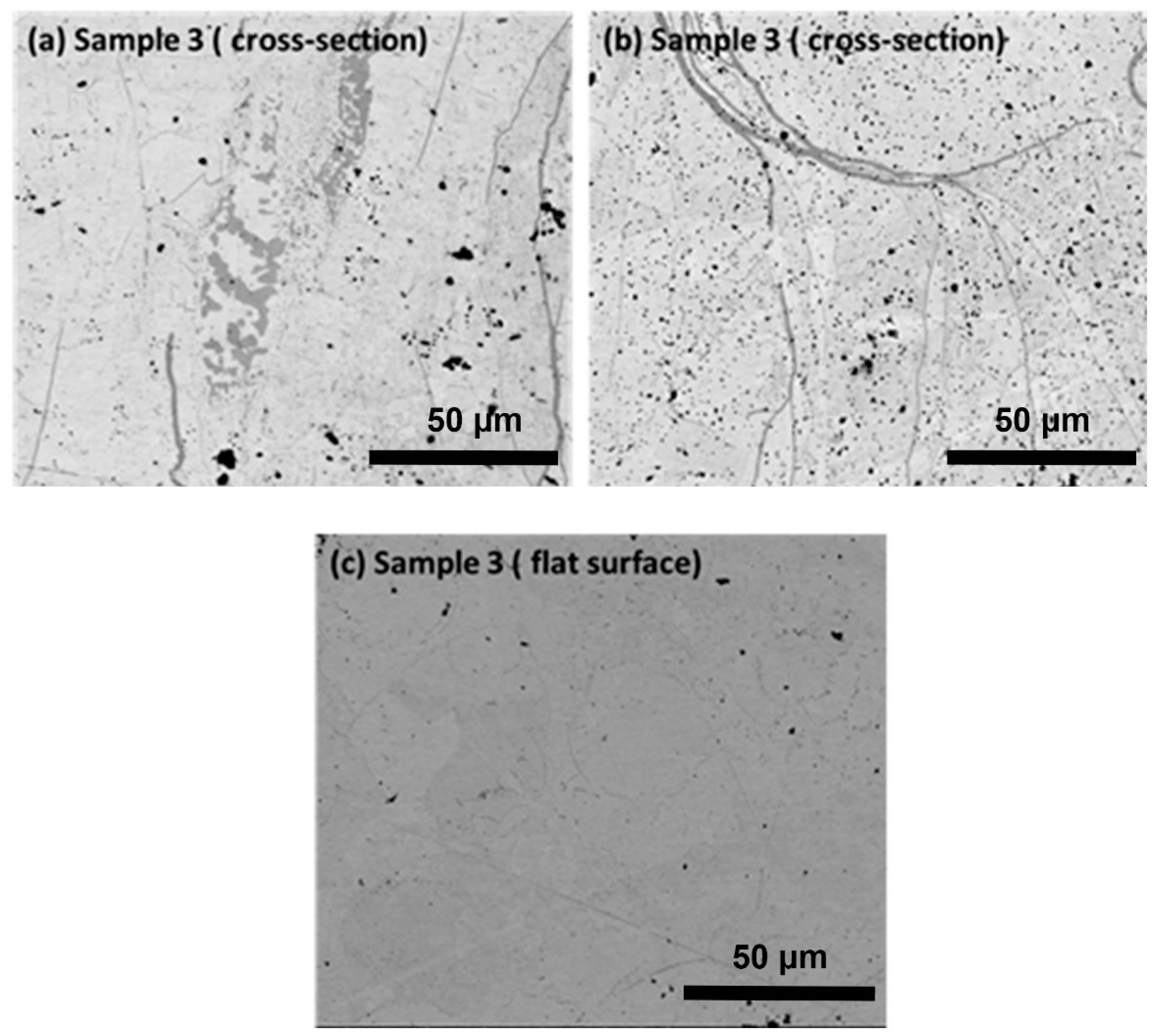 Preprints 74739 g004