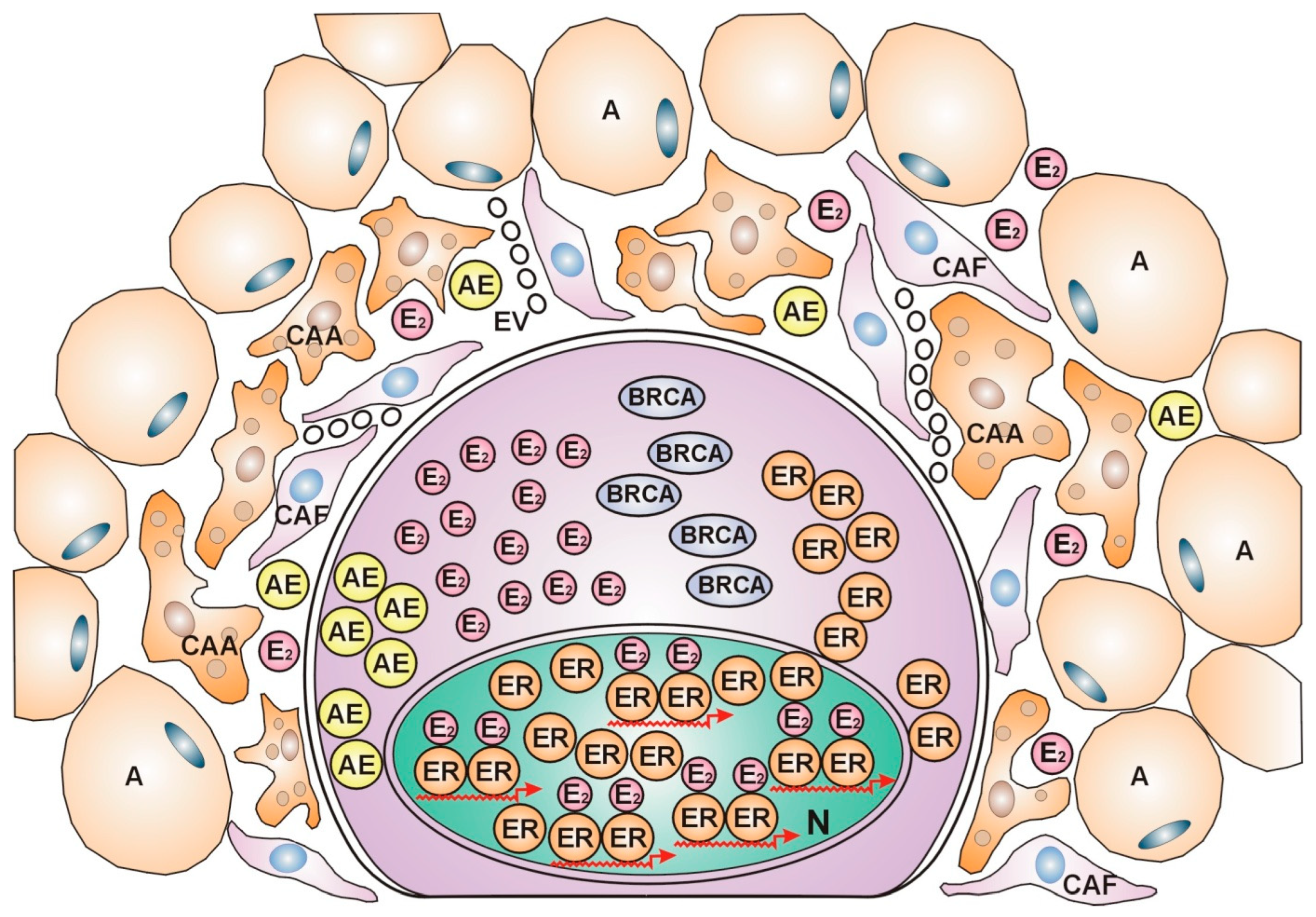 Preprints 112383 g002