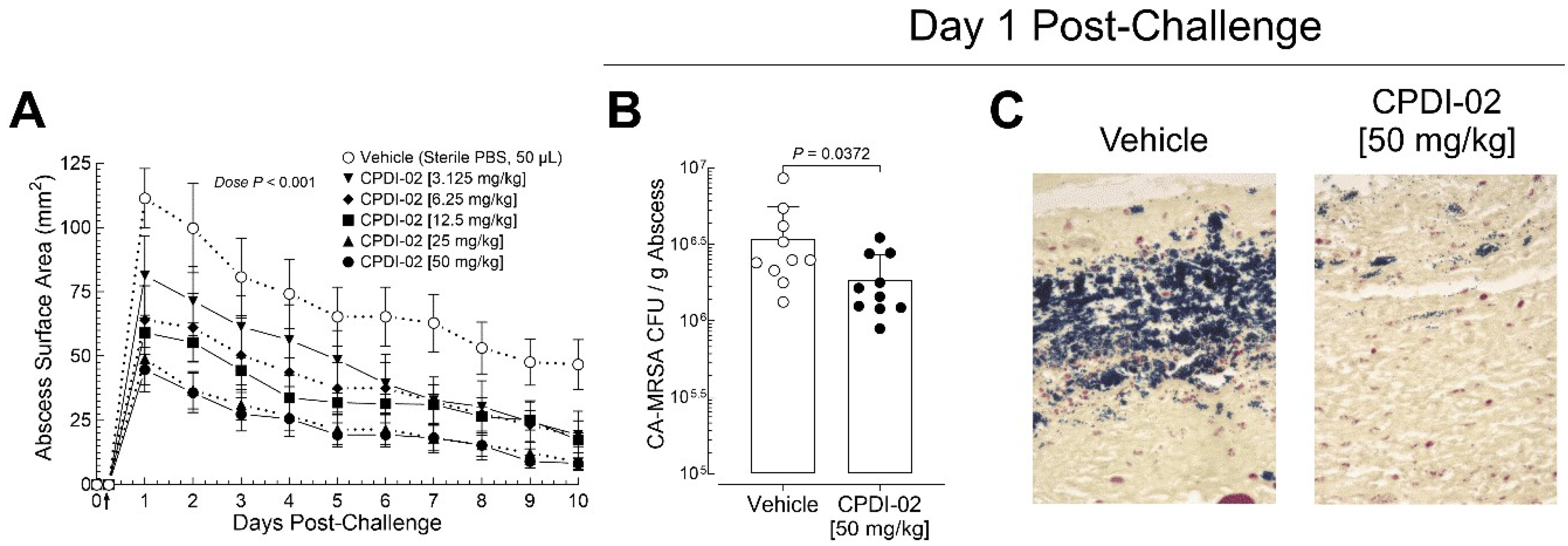 Preprints 120129 g002