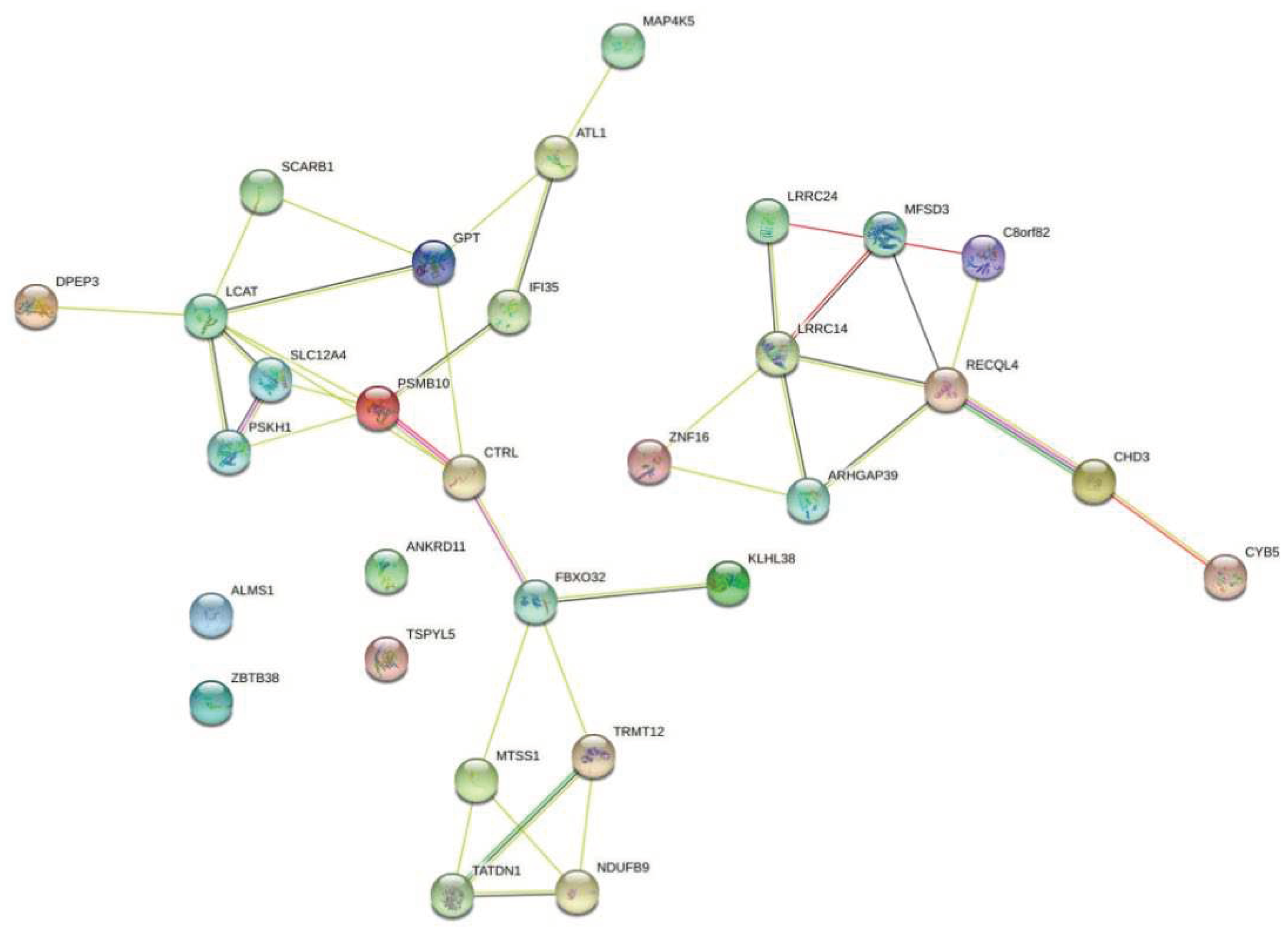 Preprints 67558 g008