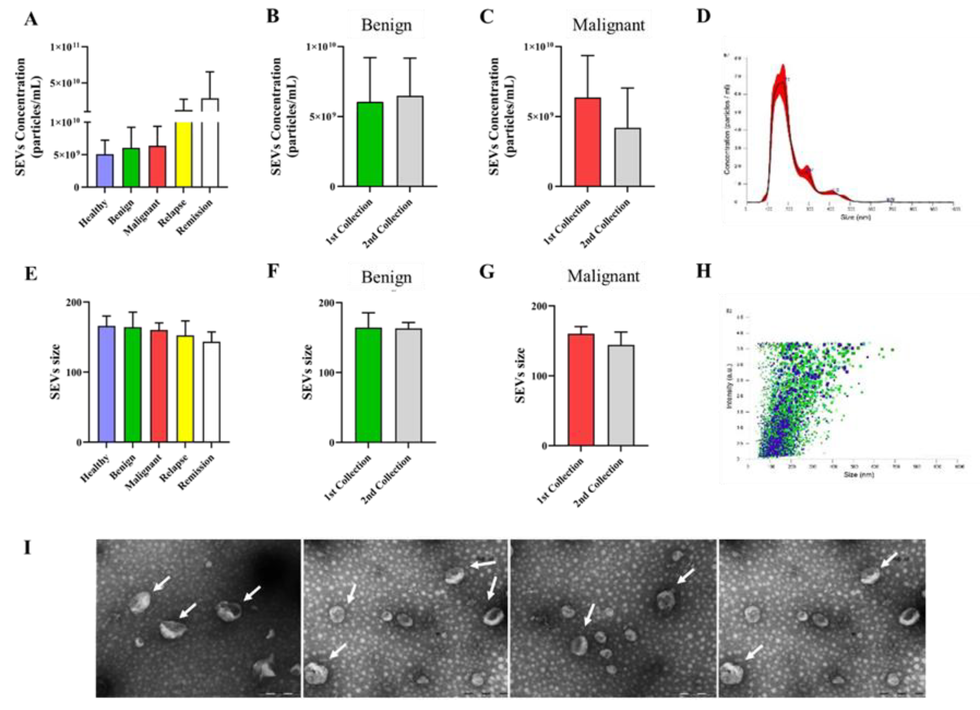 Preprints 107101 g002