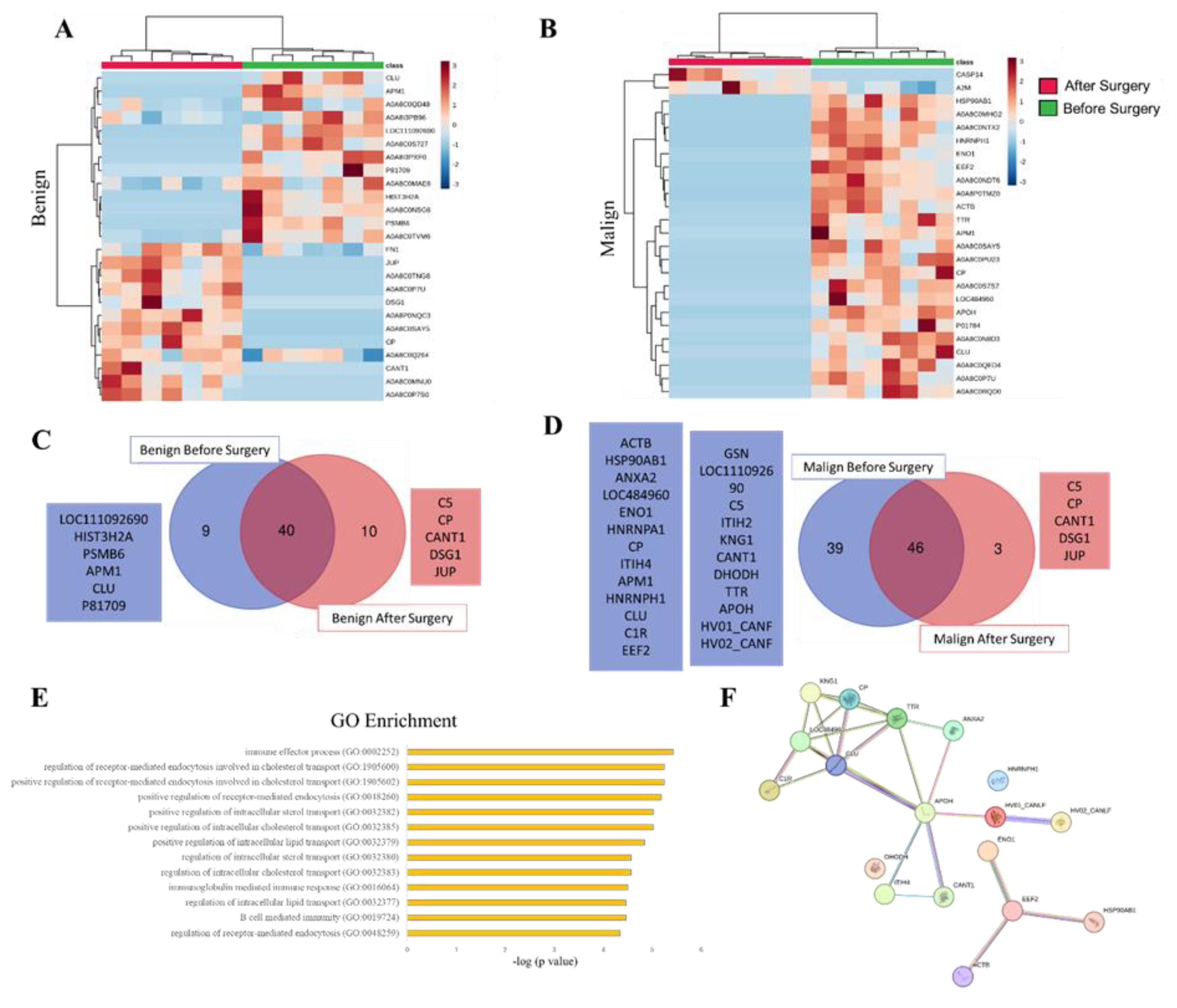 Preprints 107101 g004