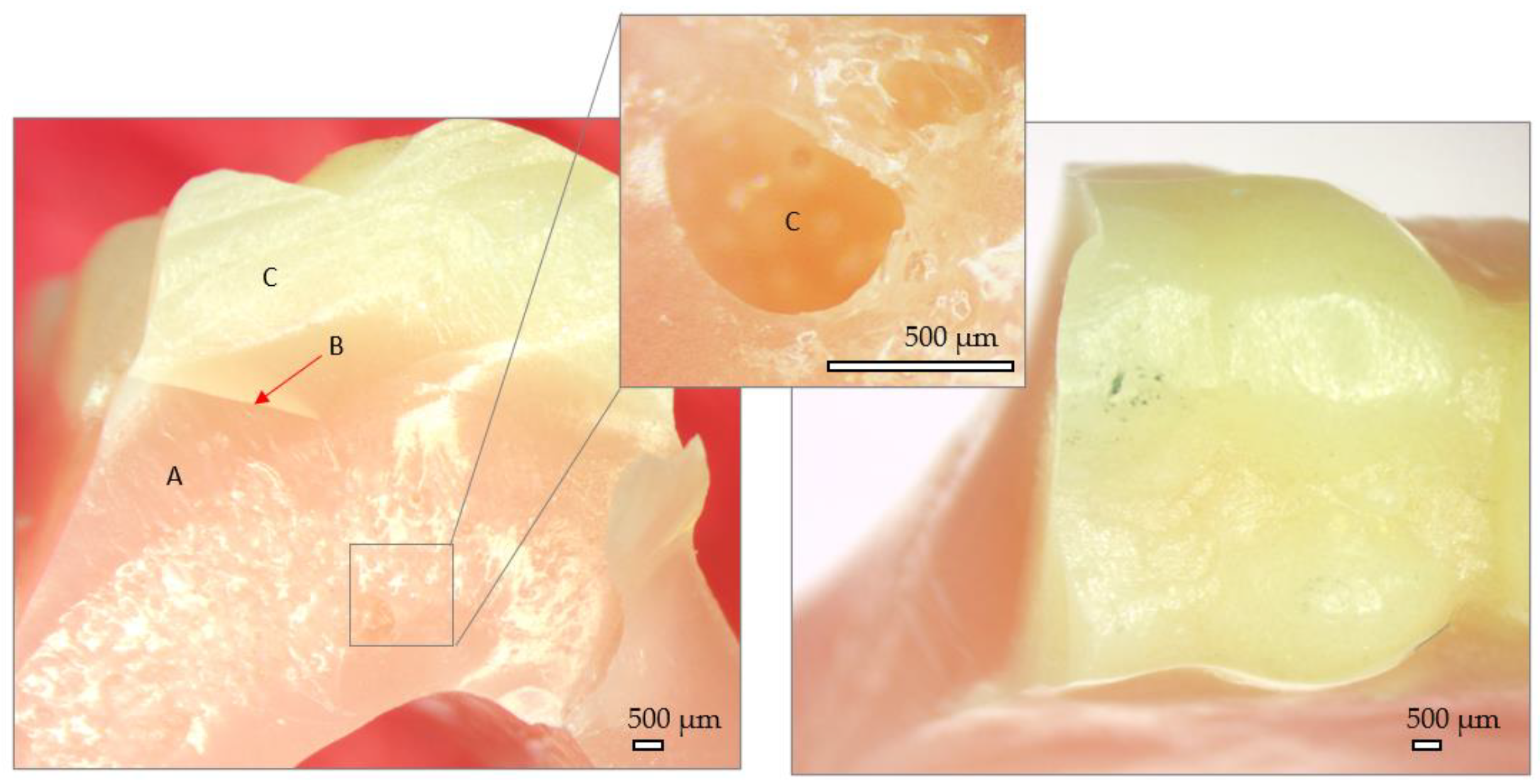 Preprints 106587 g009