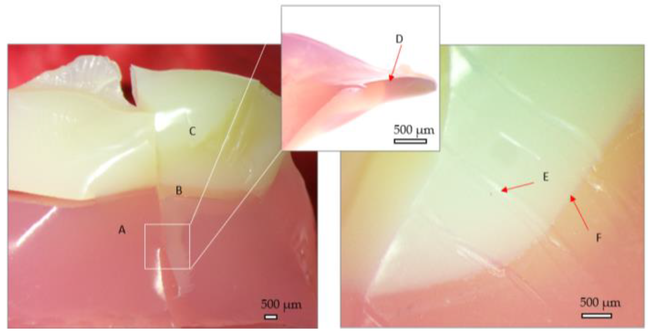 Preprints 106587 g011